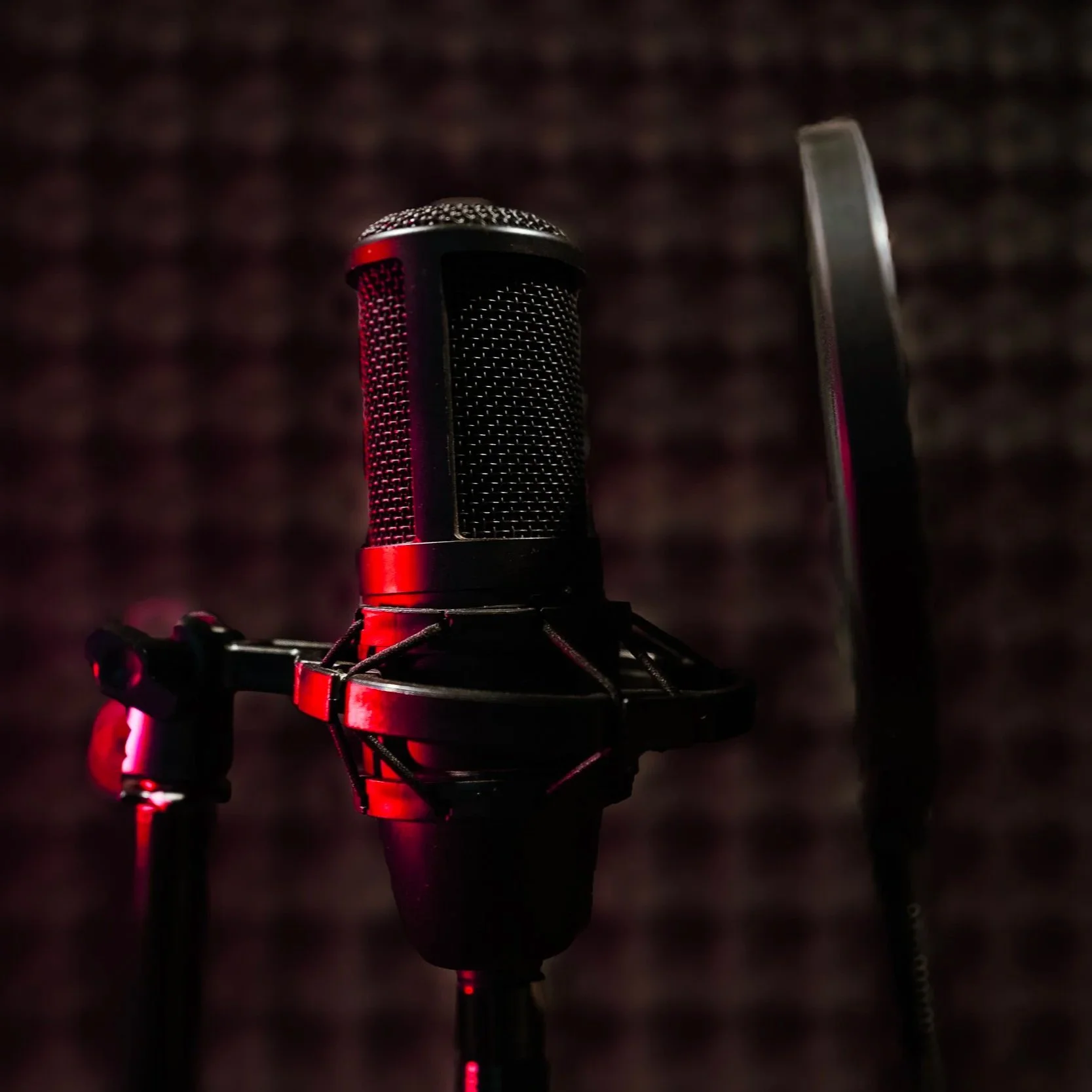 A microphone with a pop filter against a dark soundproof background.