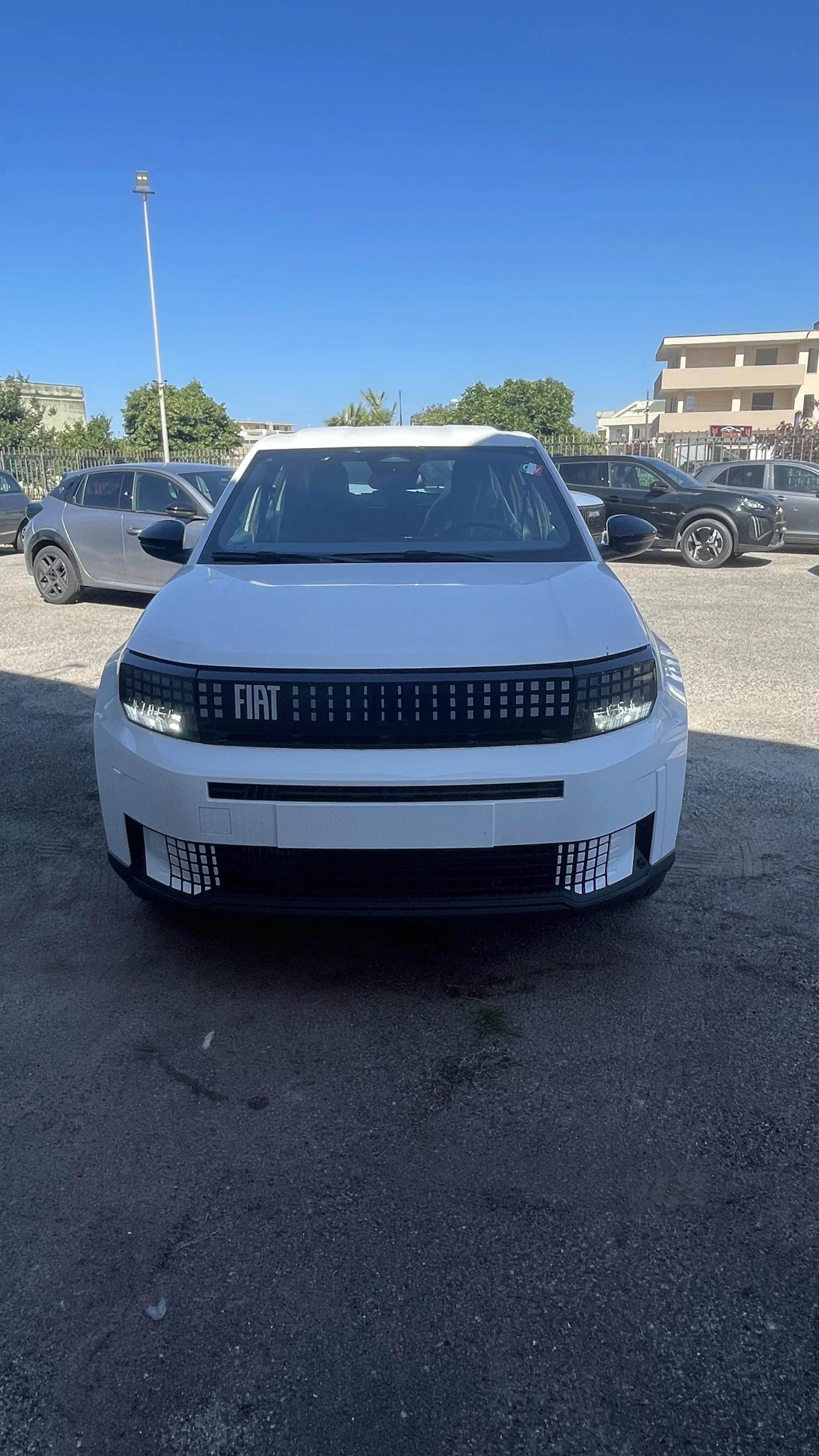 Fiat Grande Panda 1.2 100Cv Icon