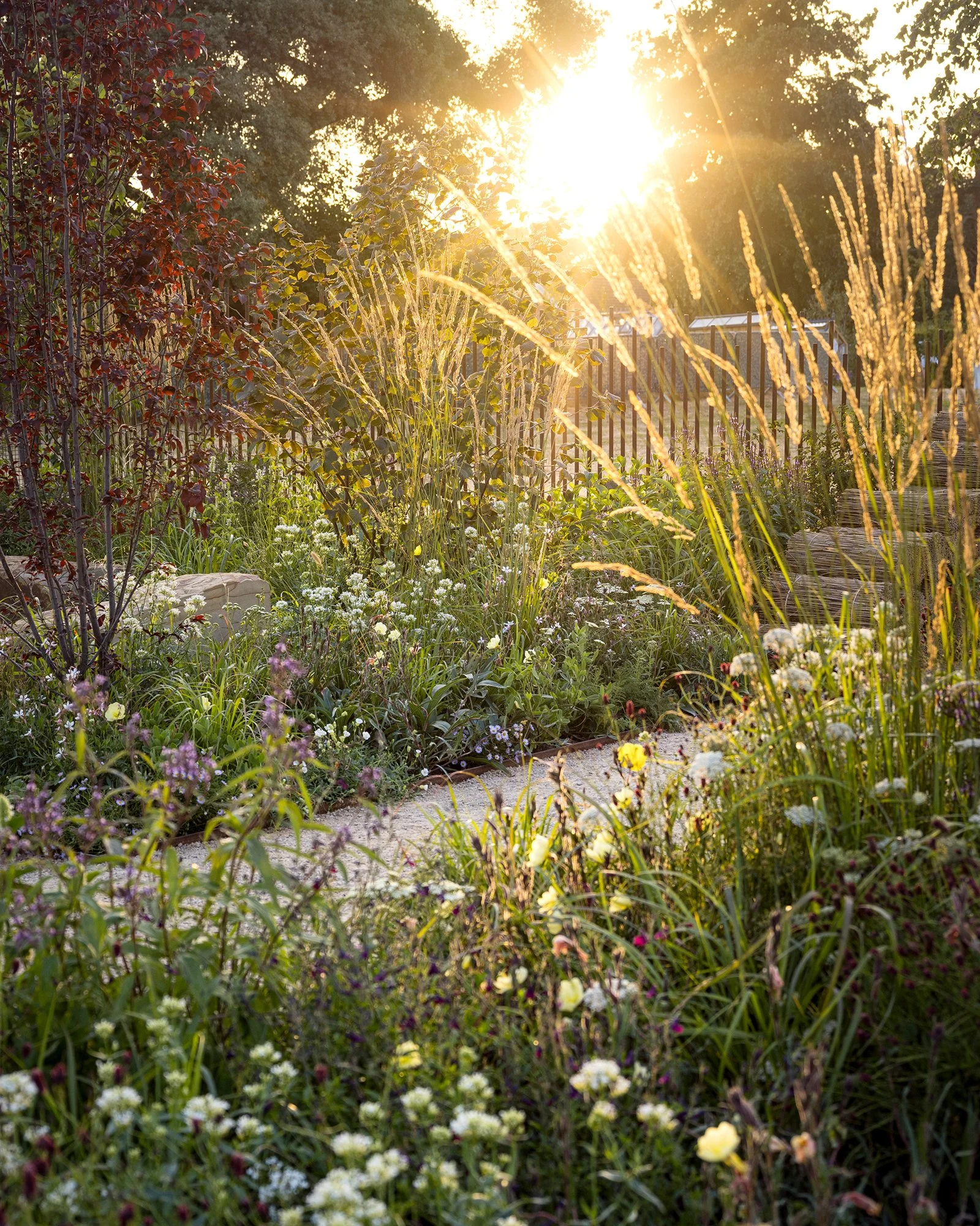 RHS Crafted from Nature Garden by Stark Strand. Image shows naturalistic planting inspired by Norfolk meadows. 