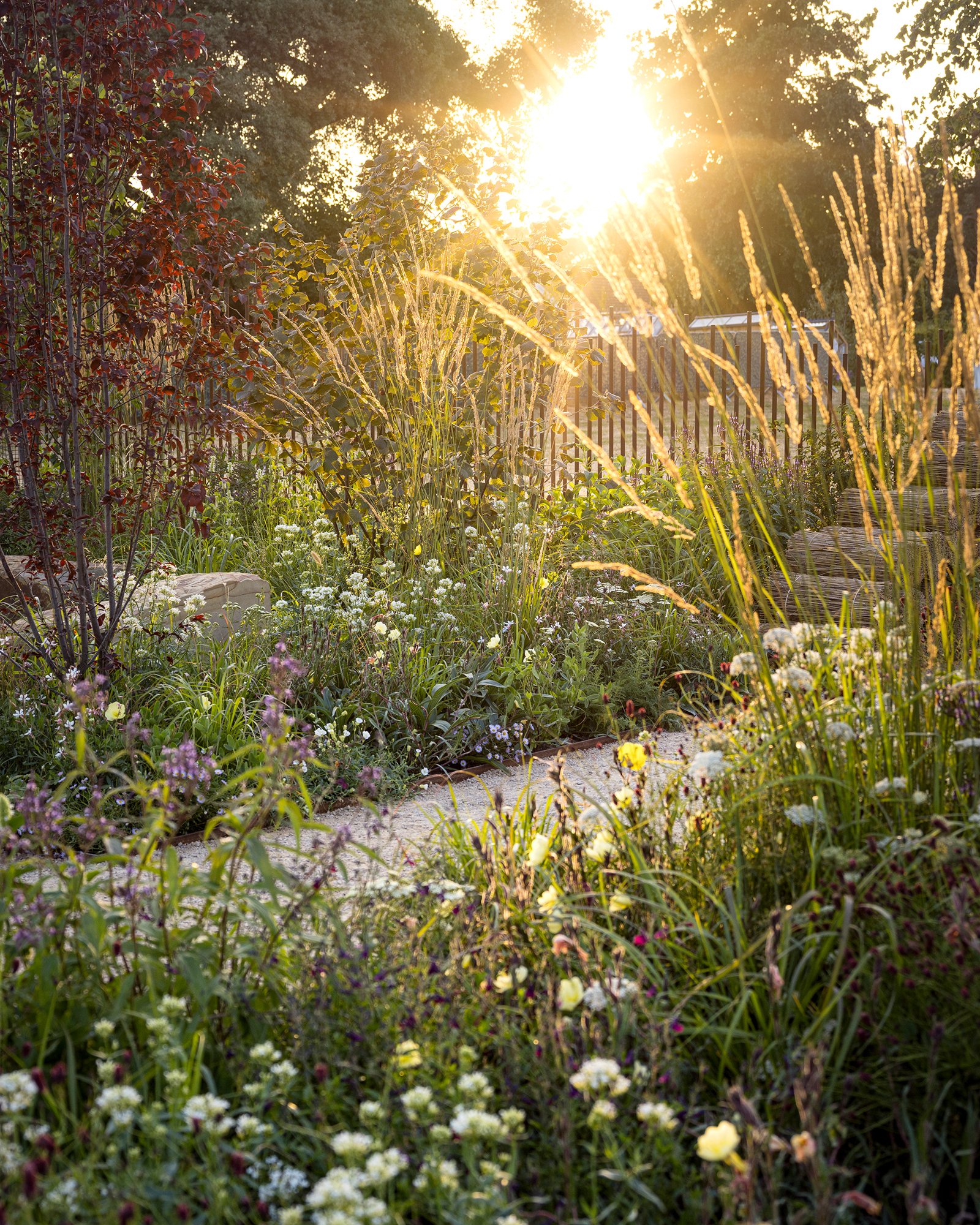 RHS Sandringham Flower Show