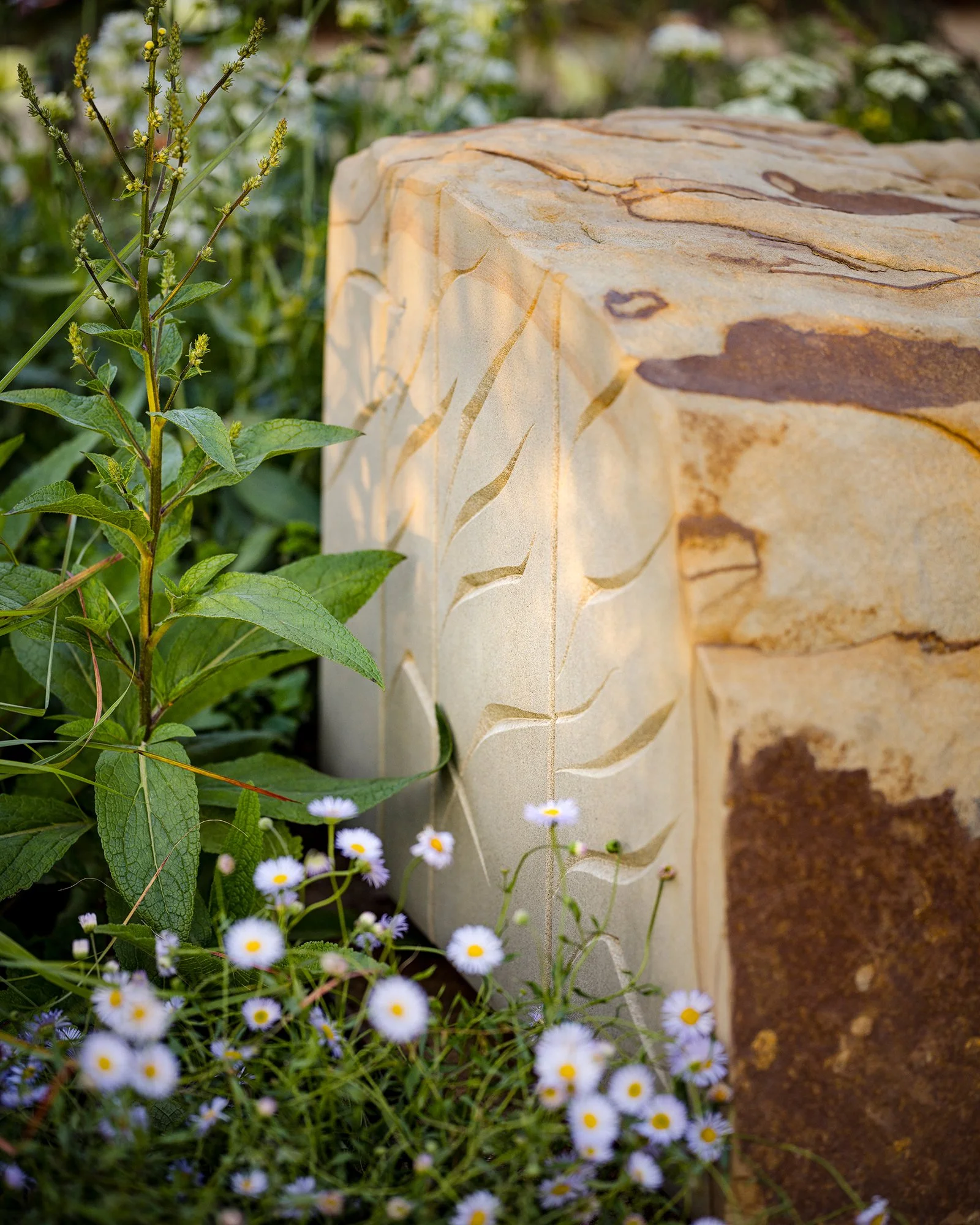 RHS Crafted from Nature Garden by Stark Strand. Image shows naturalistic planting inspired by Norfolk meadows and reed inspired York Stone bench by Teucer Wilson