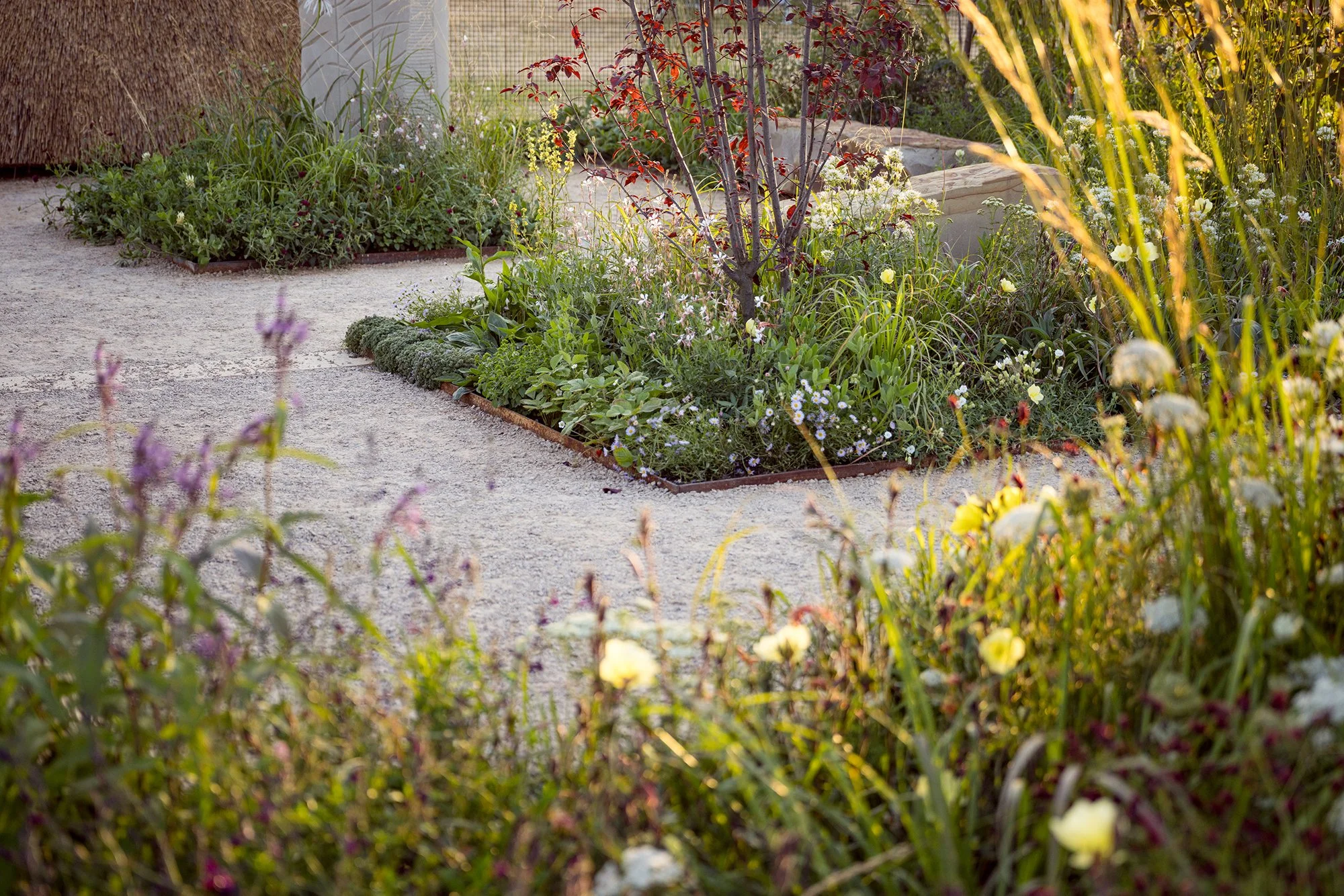RHS Crafted from Nature Garden by Stark Strand. Image shows naturalistic planting inspired by Norfolk meadows.