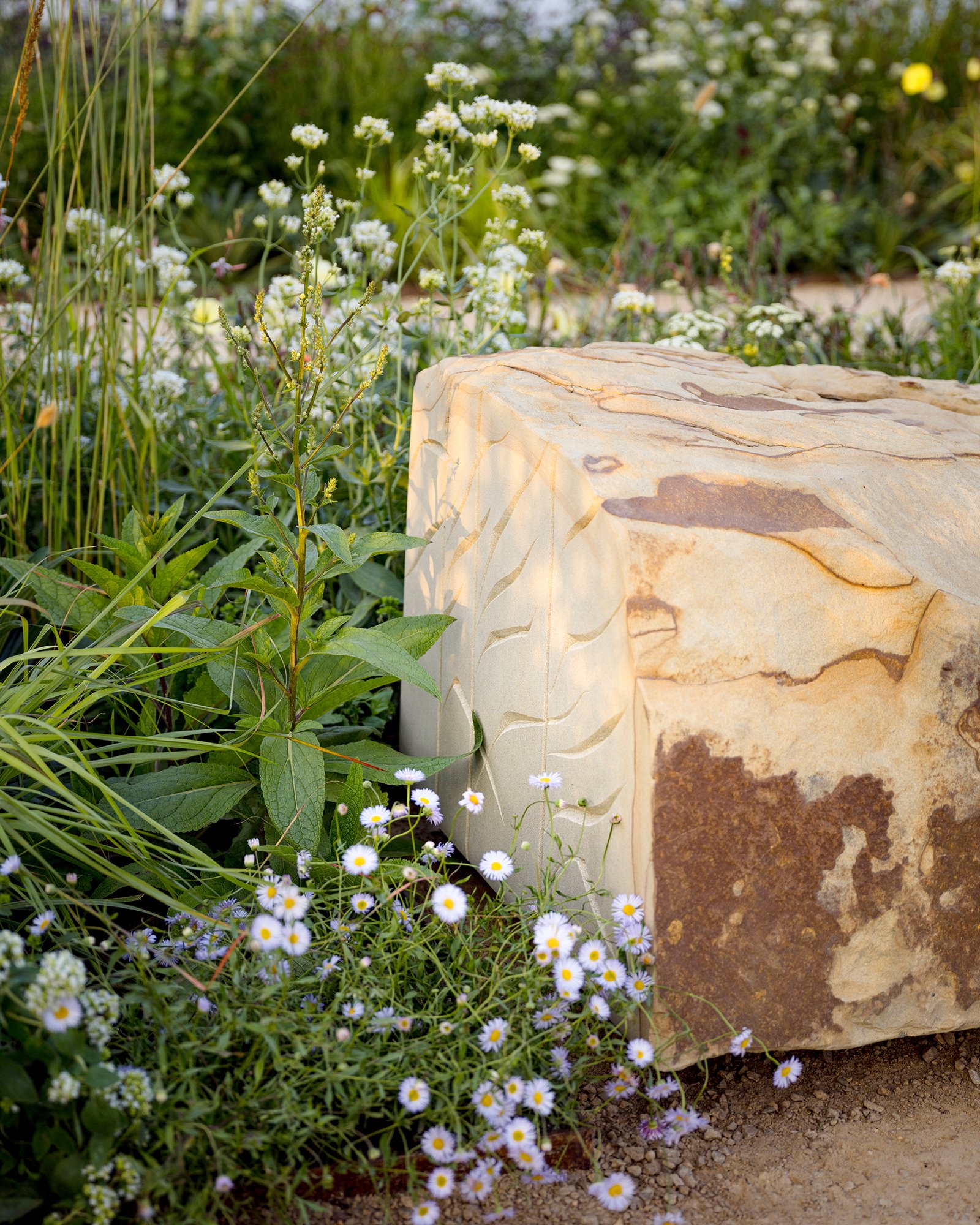 RHS Crafted from Nature Garden by Stark Strand. Image shows naturalistic planting inspired by Norfolk meadows and reed inspired York Stone bench by Teucer Wilson