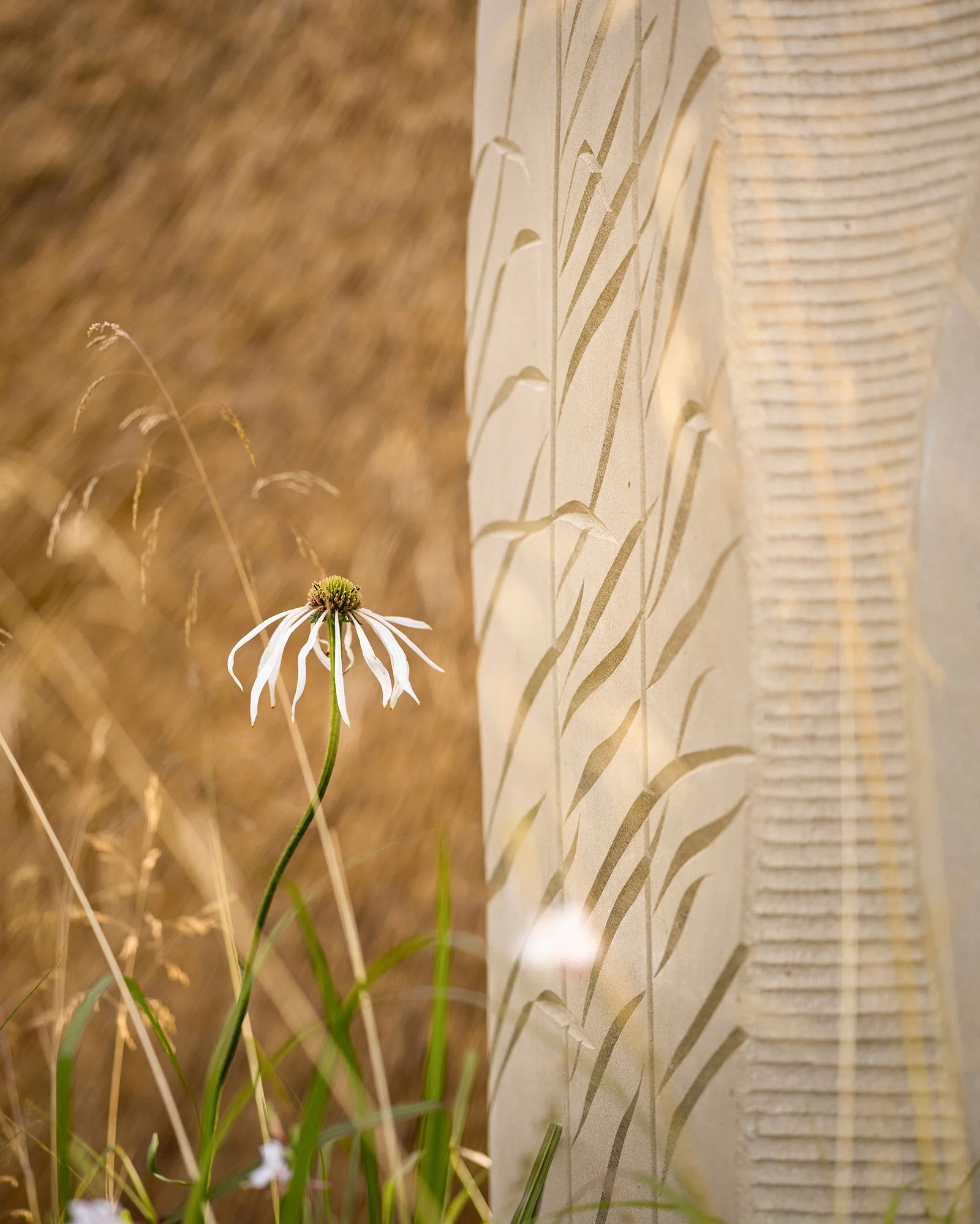 RHS Crafted from Nature Garden by Stark Strand. Image shows naturalistic planting inspired by Norfolk meadows and reed inspired York Stone sculputure by Teucer Wilson