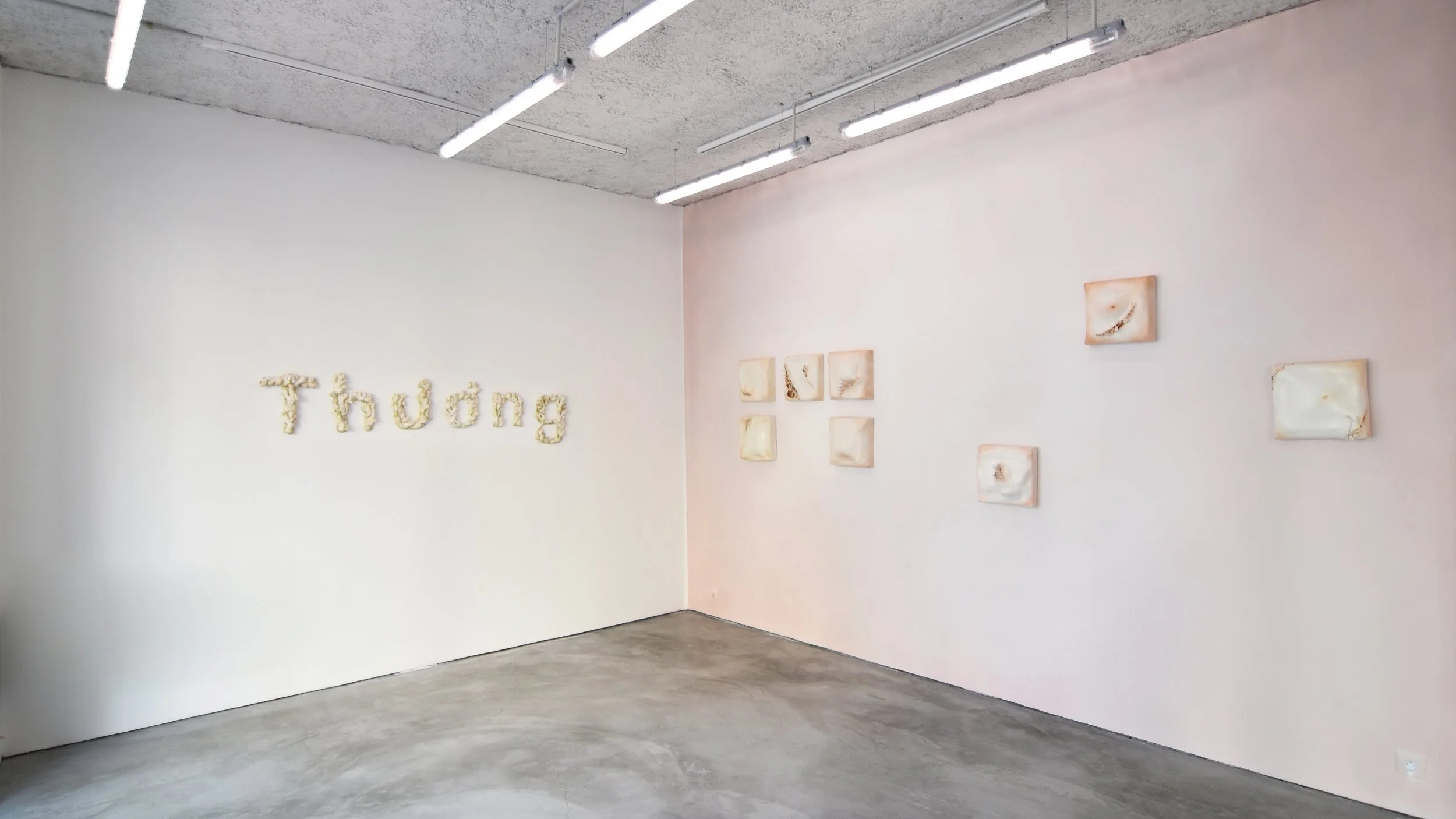 Hà My Nguyễn | Flesh and Leaf, Sap and Seed