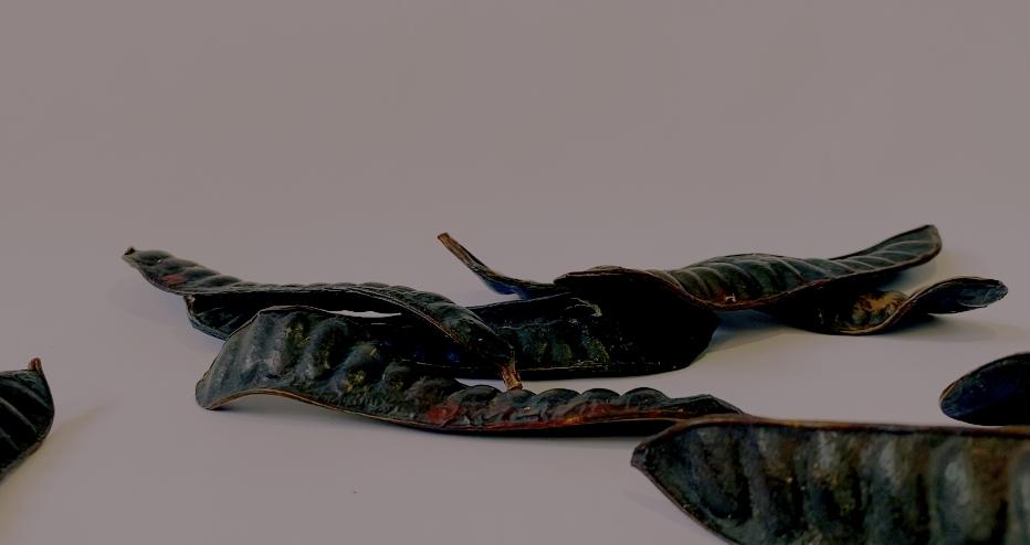 Capture d’écran 2026-04-15 à 18.51.14.png