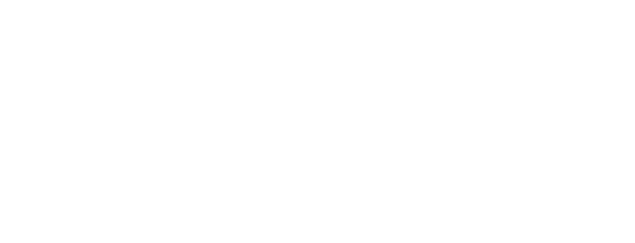 Logo for Mountain Training Skils with a mountain and checkmark icon in black and white.