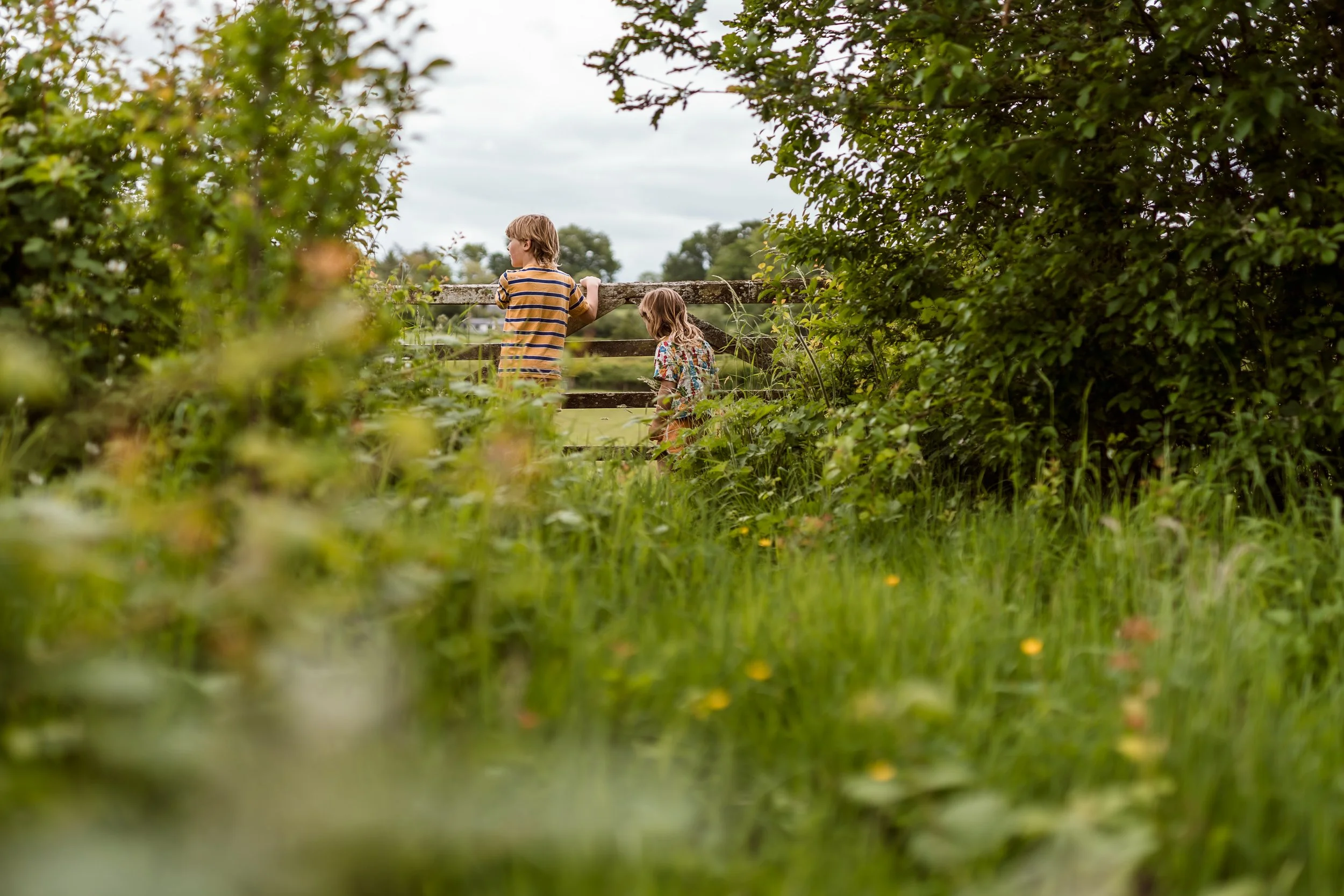 Two children, a boy and a girl, are standing near a wooden fence in a grassy, green outdoor area, looking into the distance. The boy is wearing a striped shirt, and the girl is wearing a floral dress. There are trees and an overcast sky in the background.
