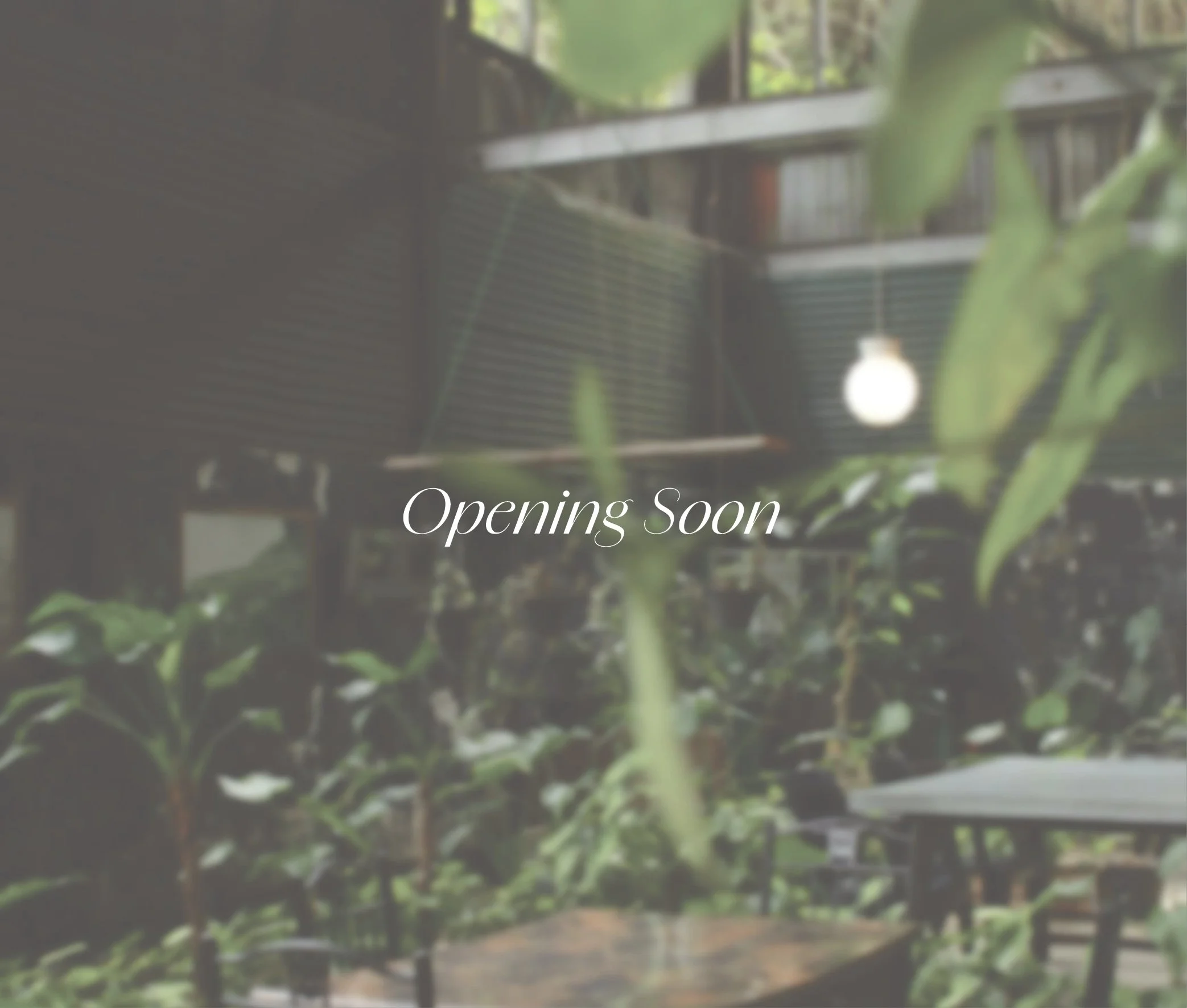 A blurred outdoor cafe setting with plants, a hanging light bulb, and a sign that reads "Opening Soon".