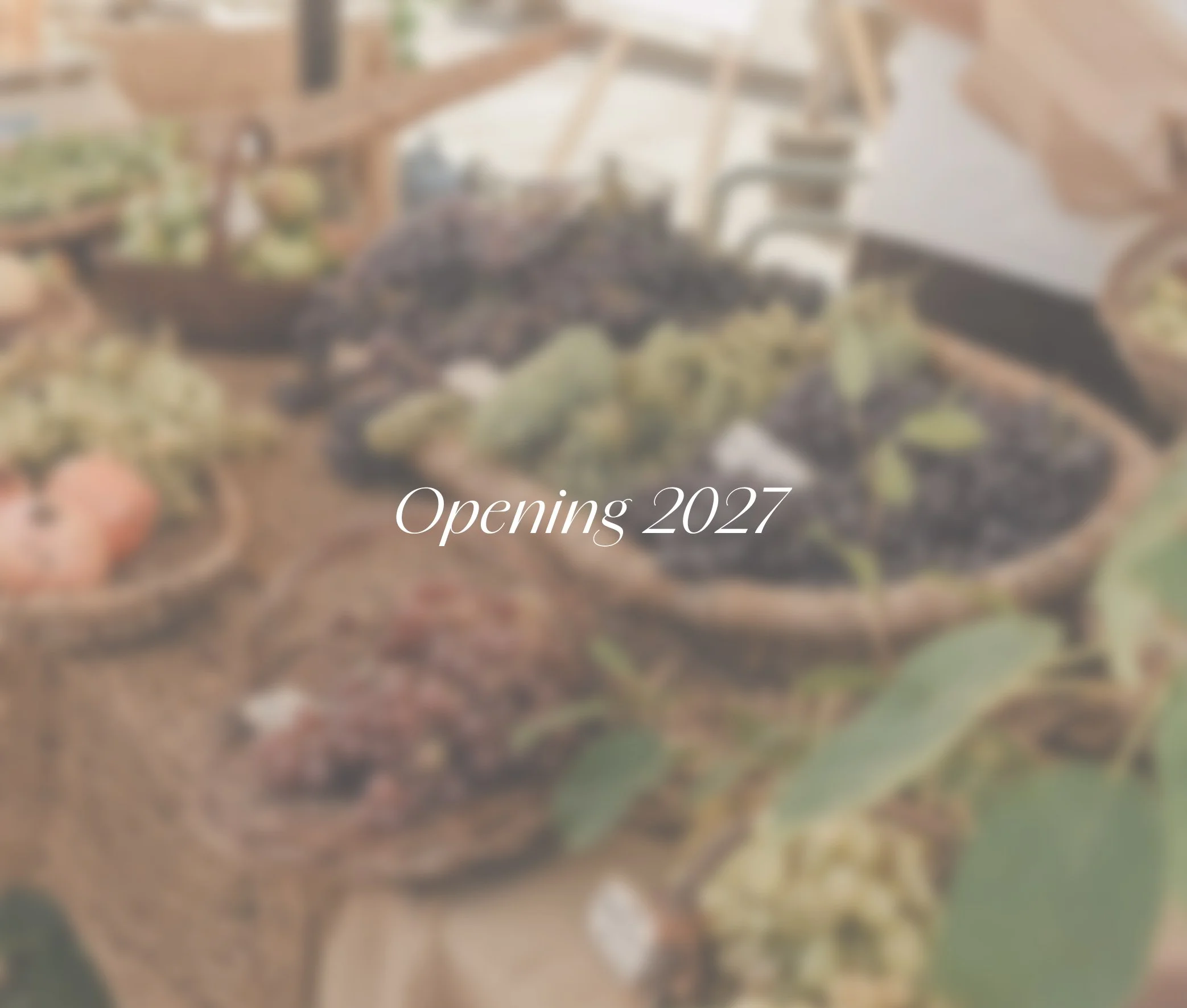 A blurred image of potted plants with a text overlay that reads "Opening 2027."