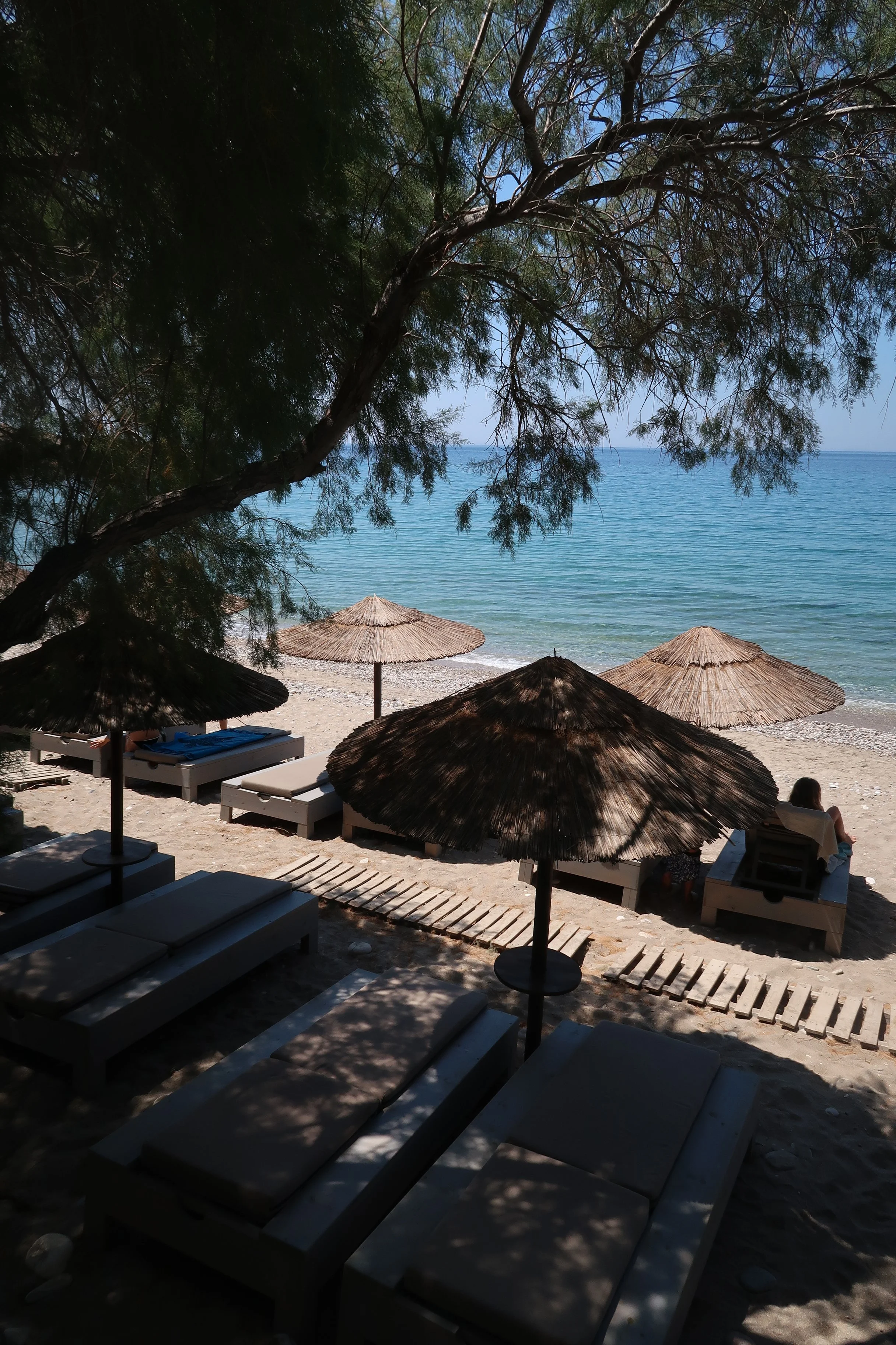 A beach scene with several thatched umbrellas, lounge chairs, and two people sitting on a bench near the shore, with clear blue water and a tree in the foreground.