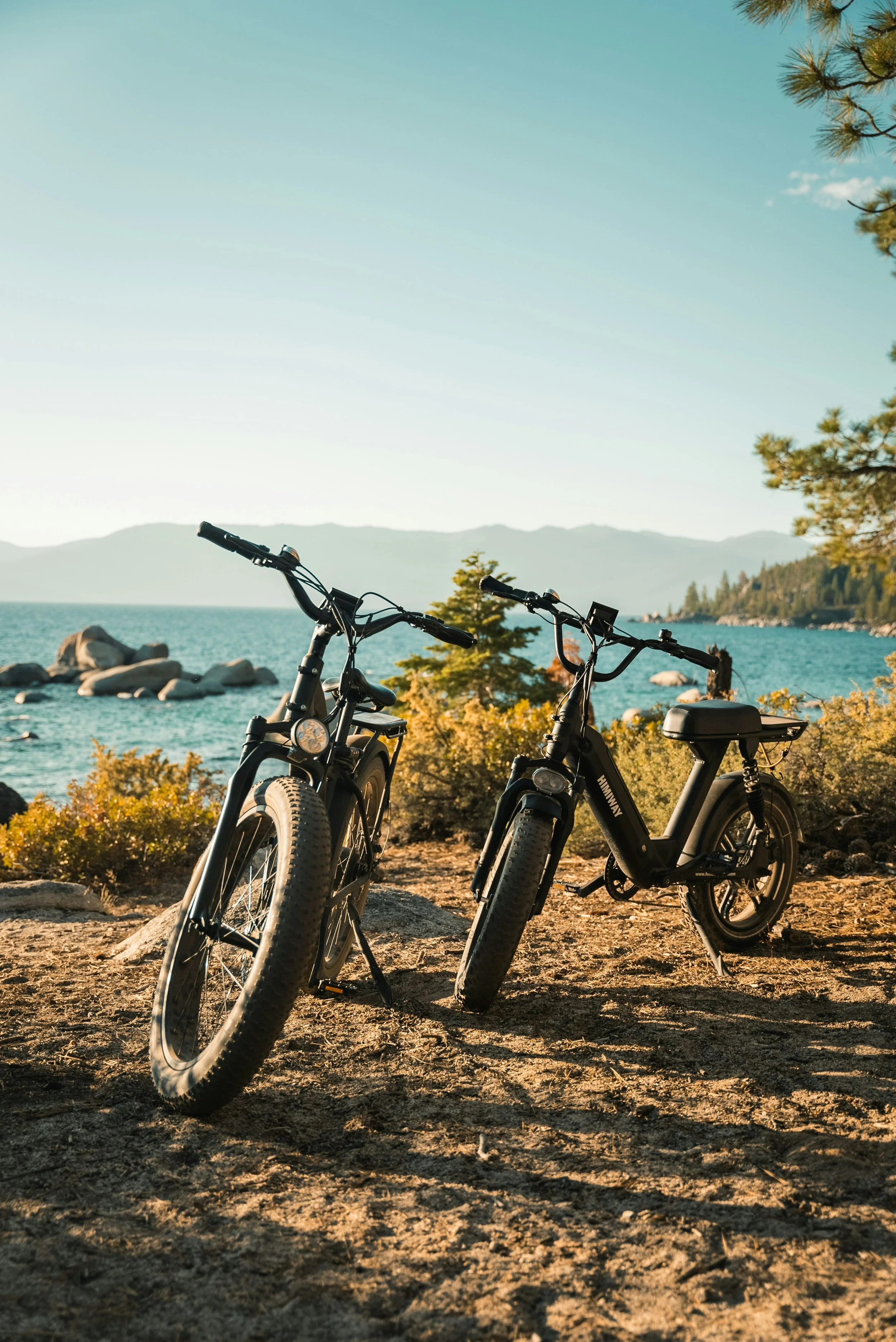 Electric Electric Bikes