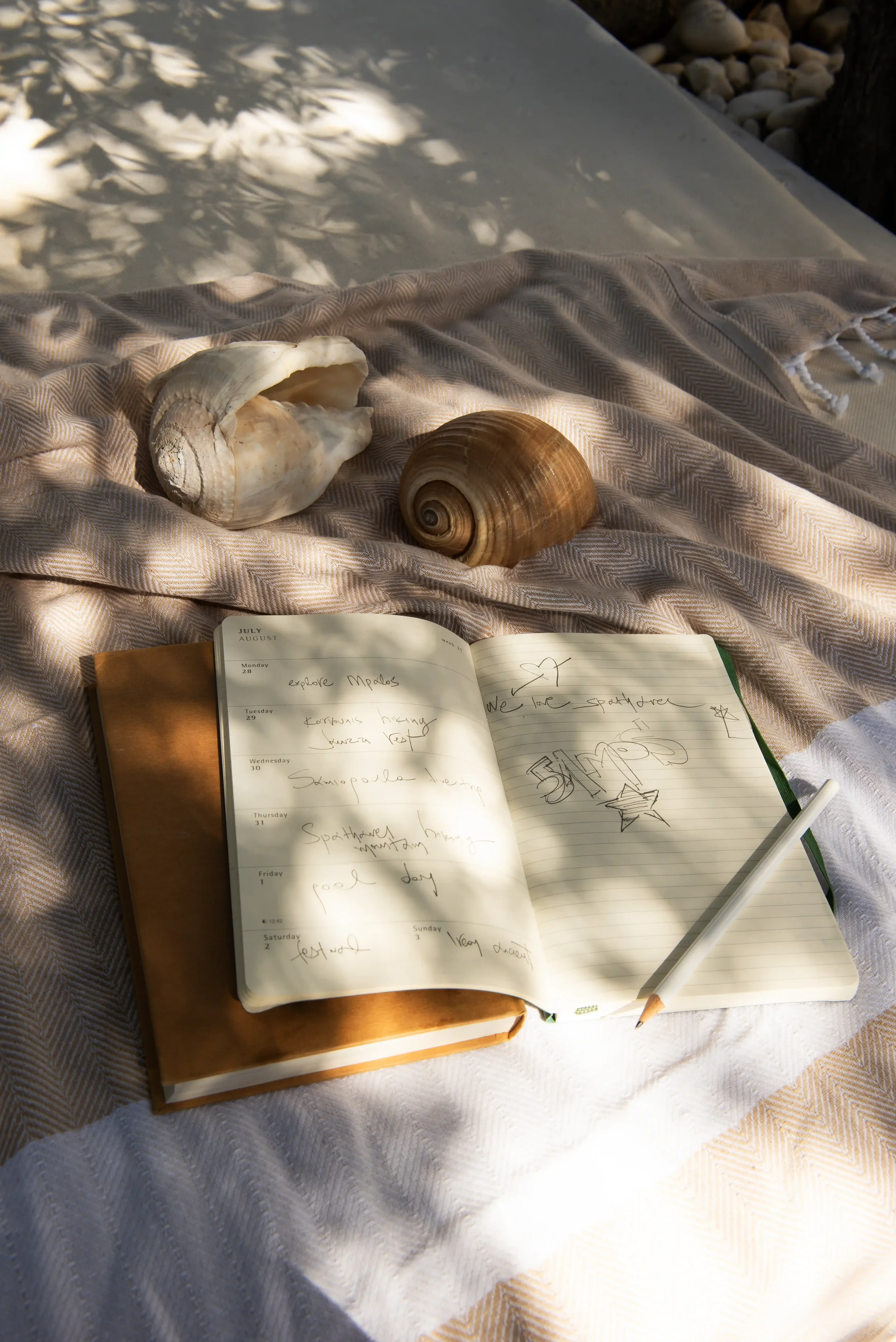 Open planner with handwritten notes and drawings, two seashells, and a pencil on a soft cloth, with shadows of leaves cast on a surface.