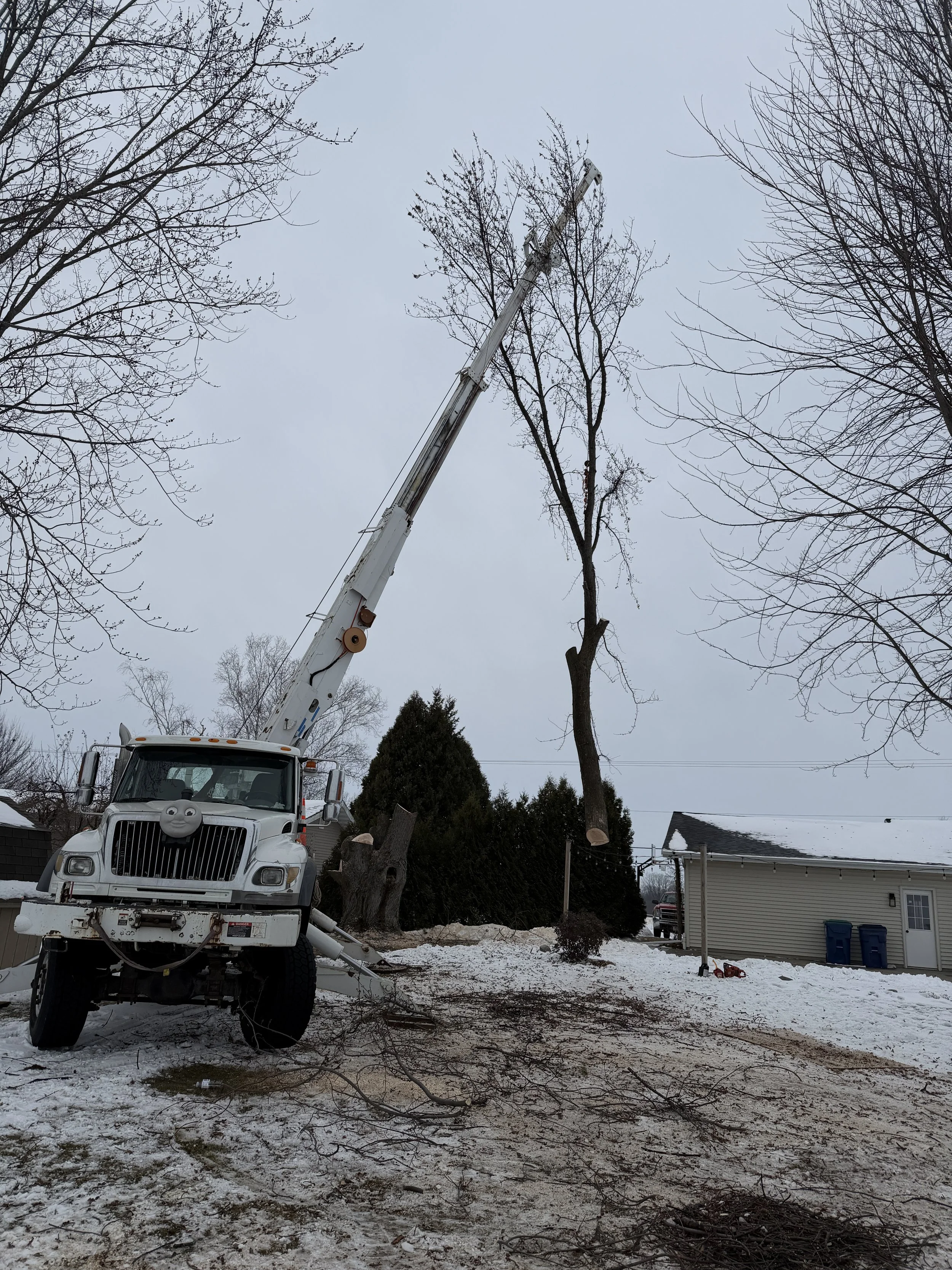 Tree removal via crane assistance on outskirts of Green Bay Wisconsin
