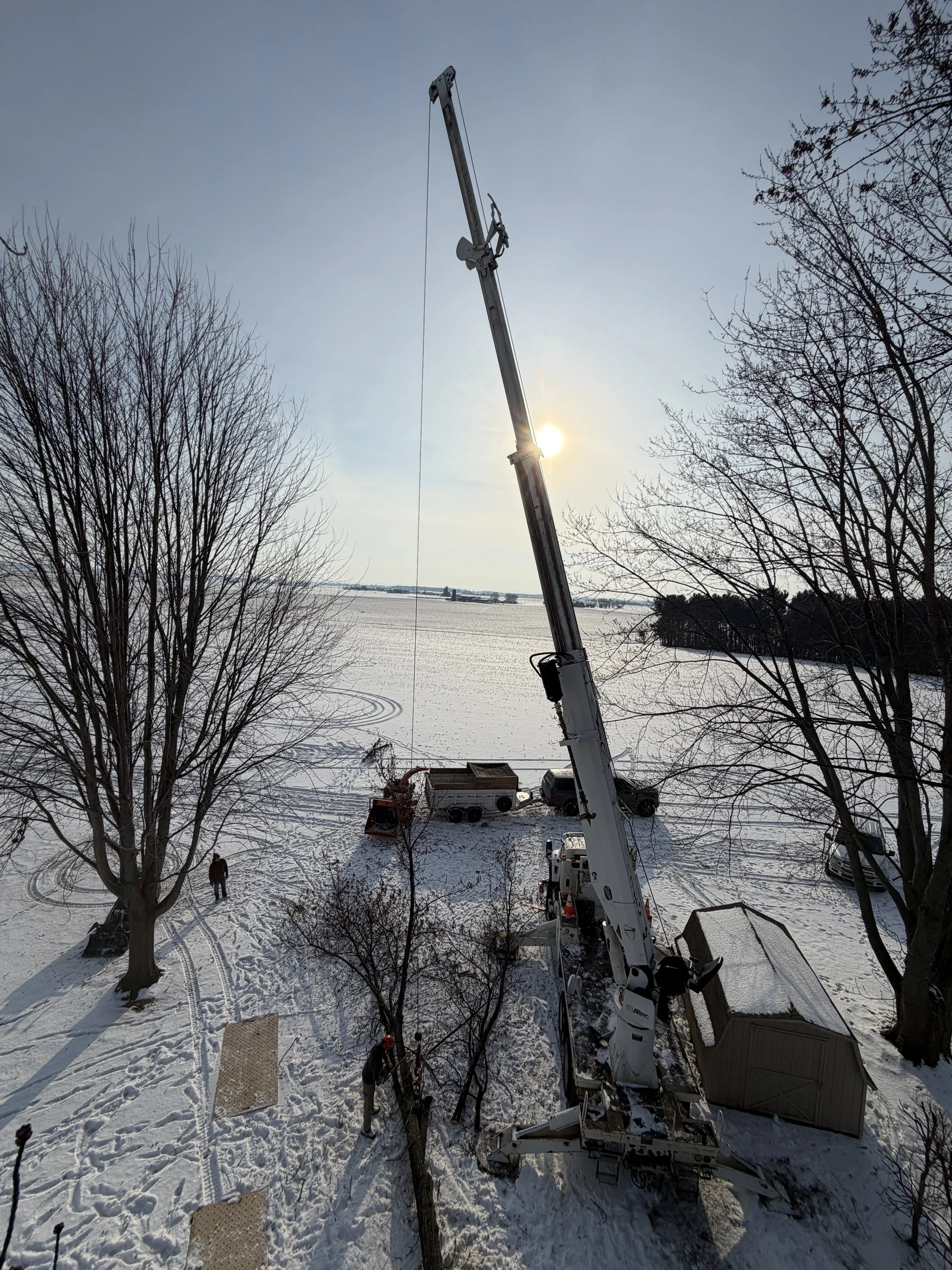 Tree removal via crane assistance on outskirts of Green Bay Wisconsin