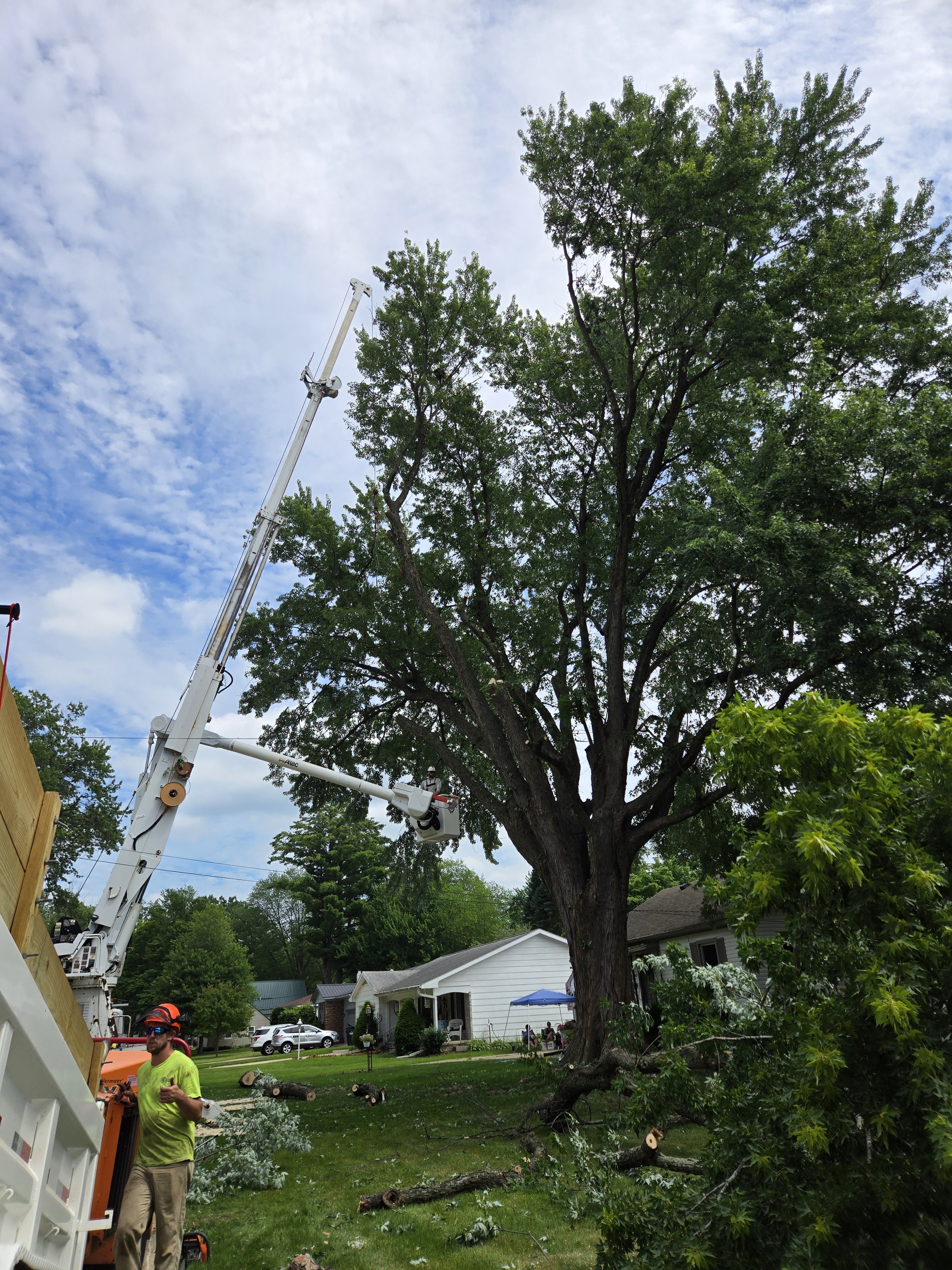 Meghan Brooks BEFORE maple 2.jpg