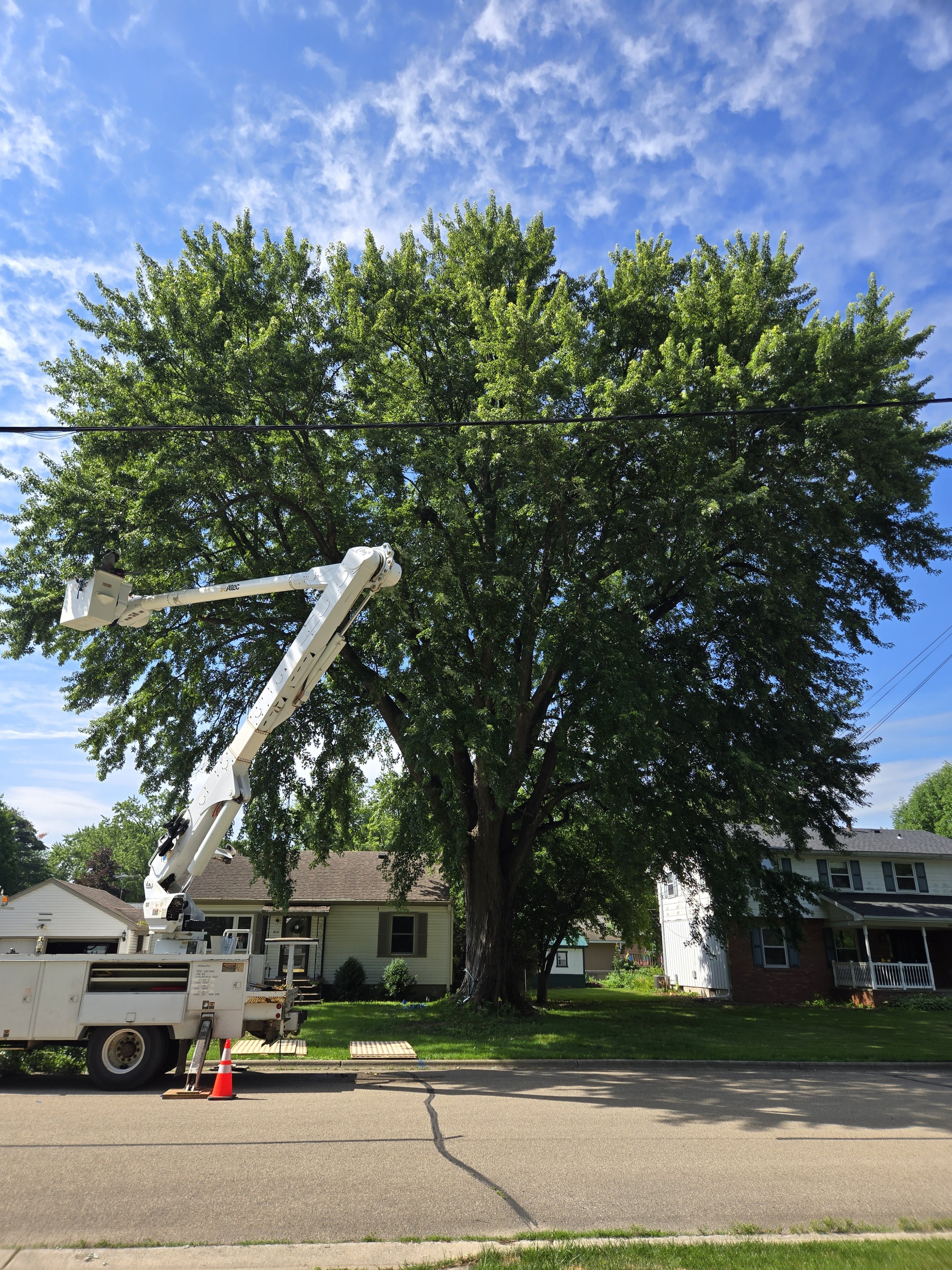 Megan Brooks BEFORE 3.jpg