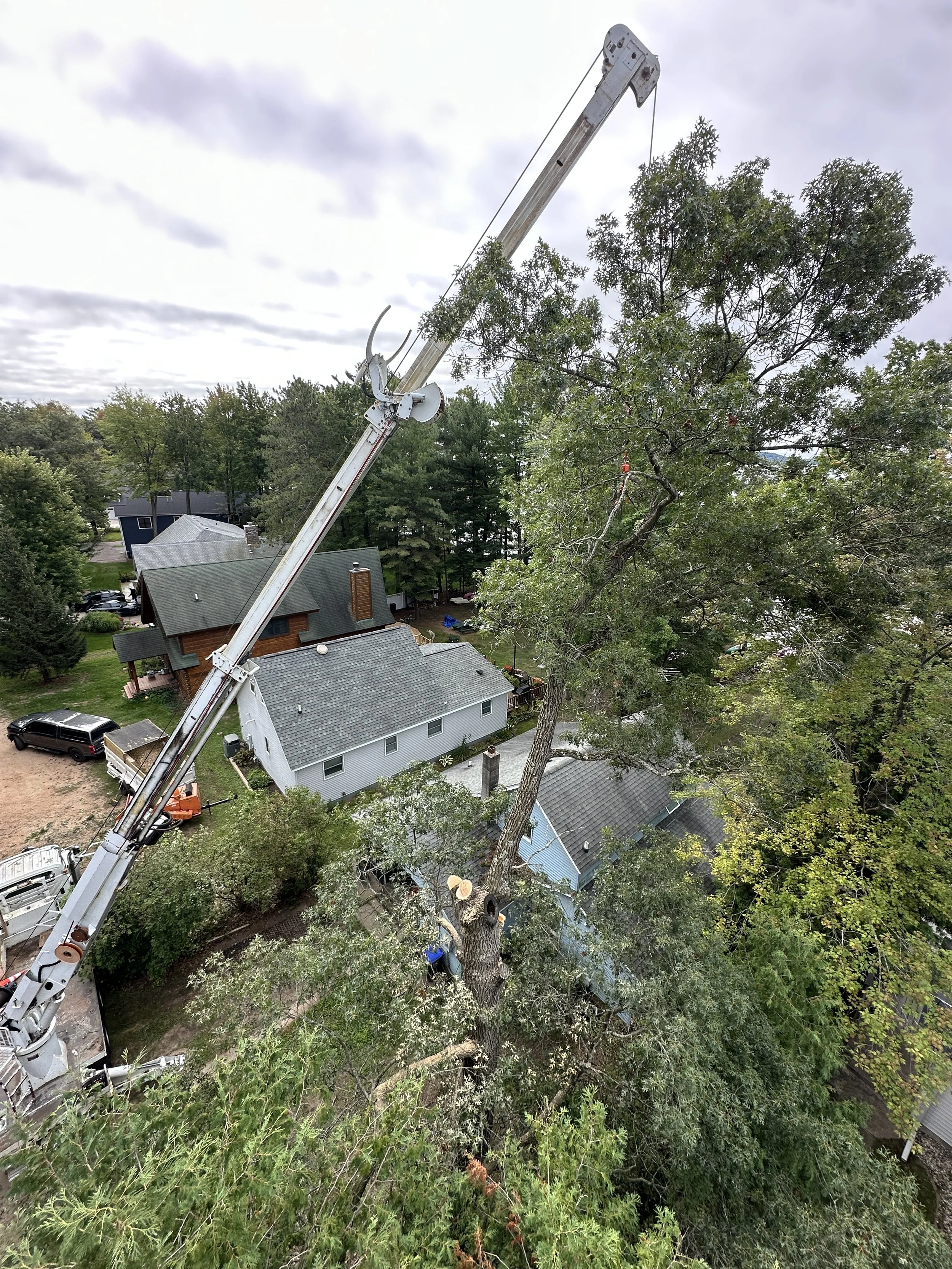 Crane pick of tree in Shawano Wisconsin 