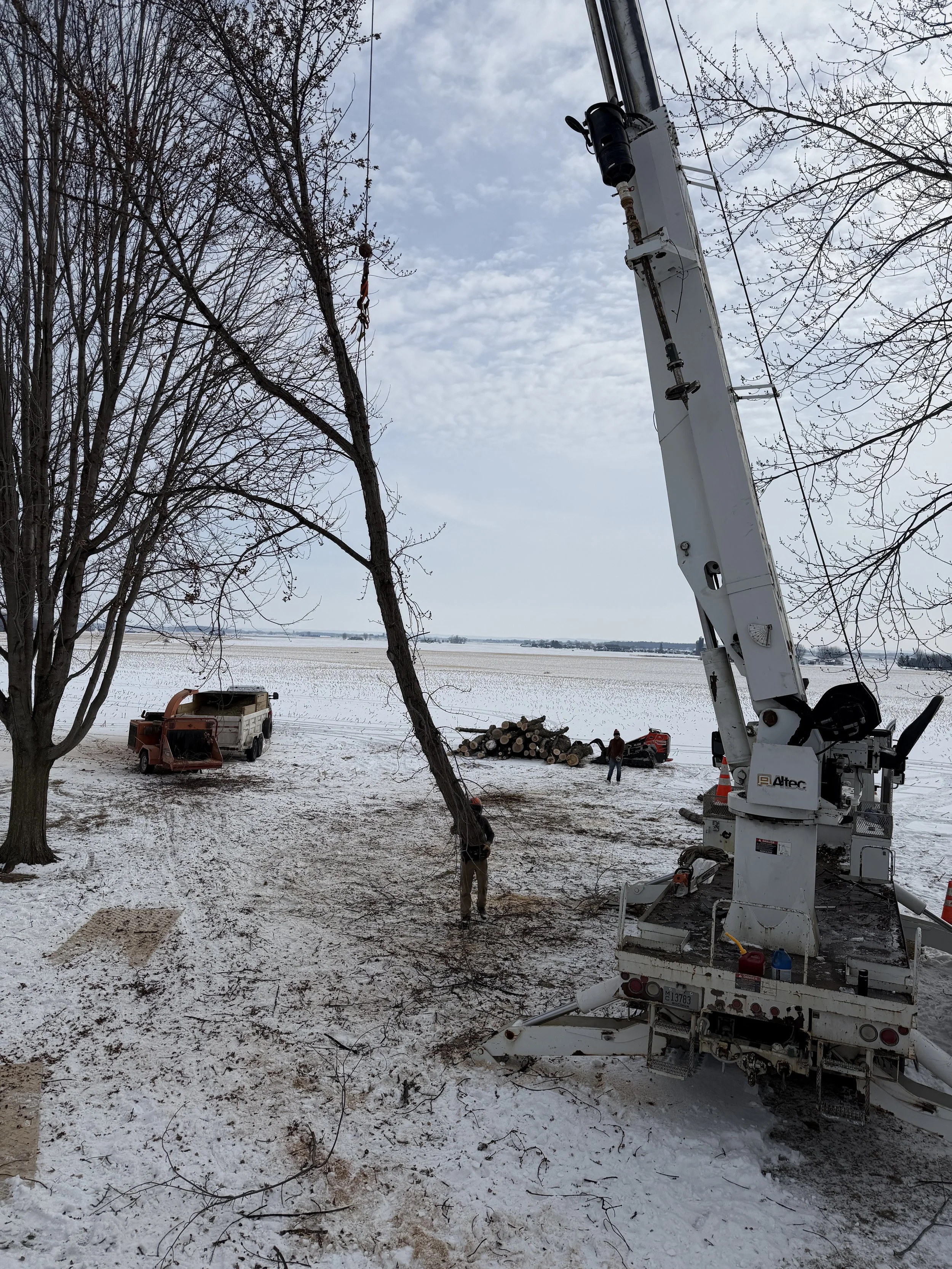 Tree removal via crane assistance on outskirts of Green Bay Wisconsin