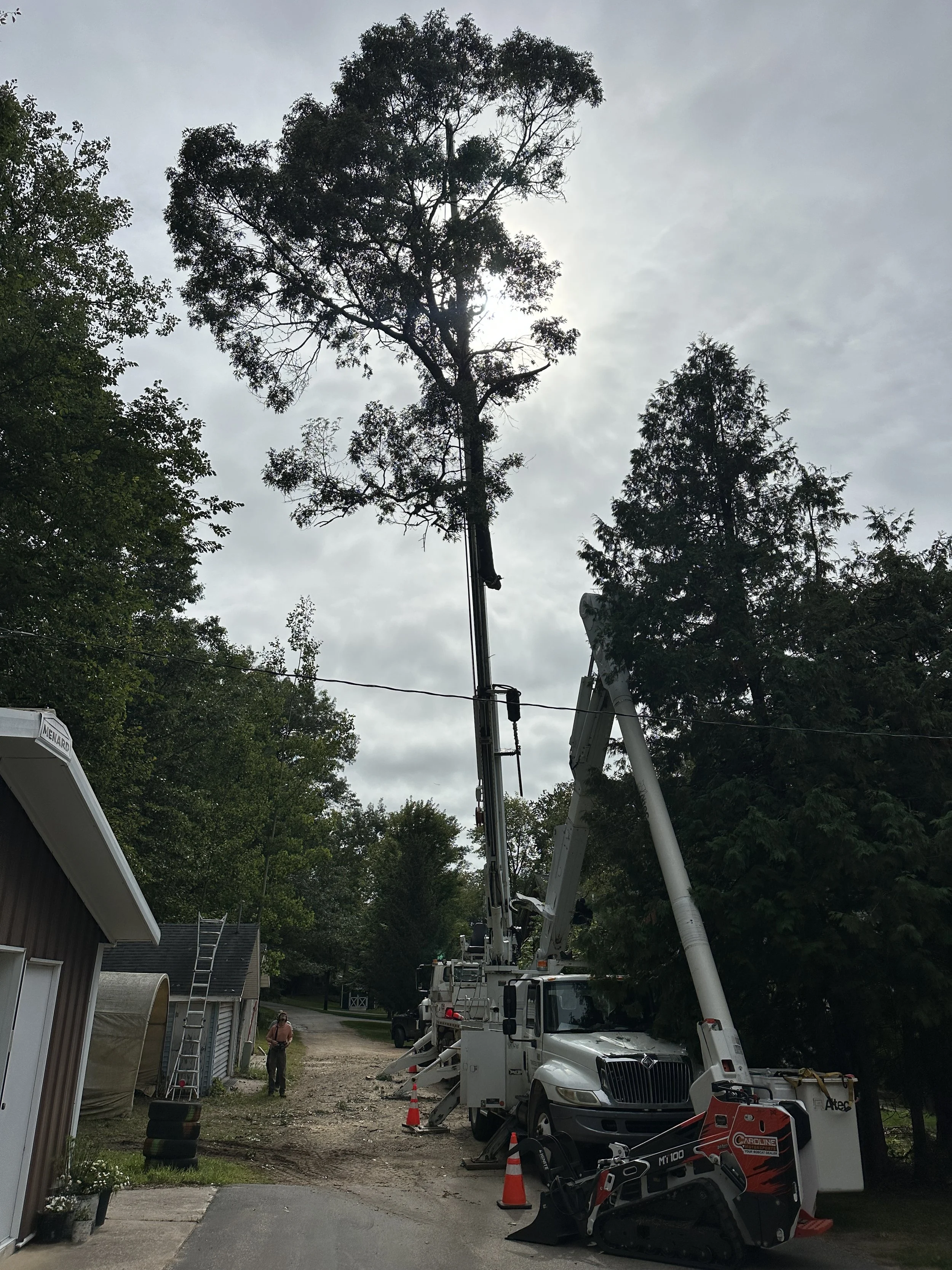 Crane pick of tree in Shawano Wisconsin 