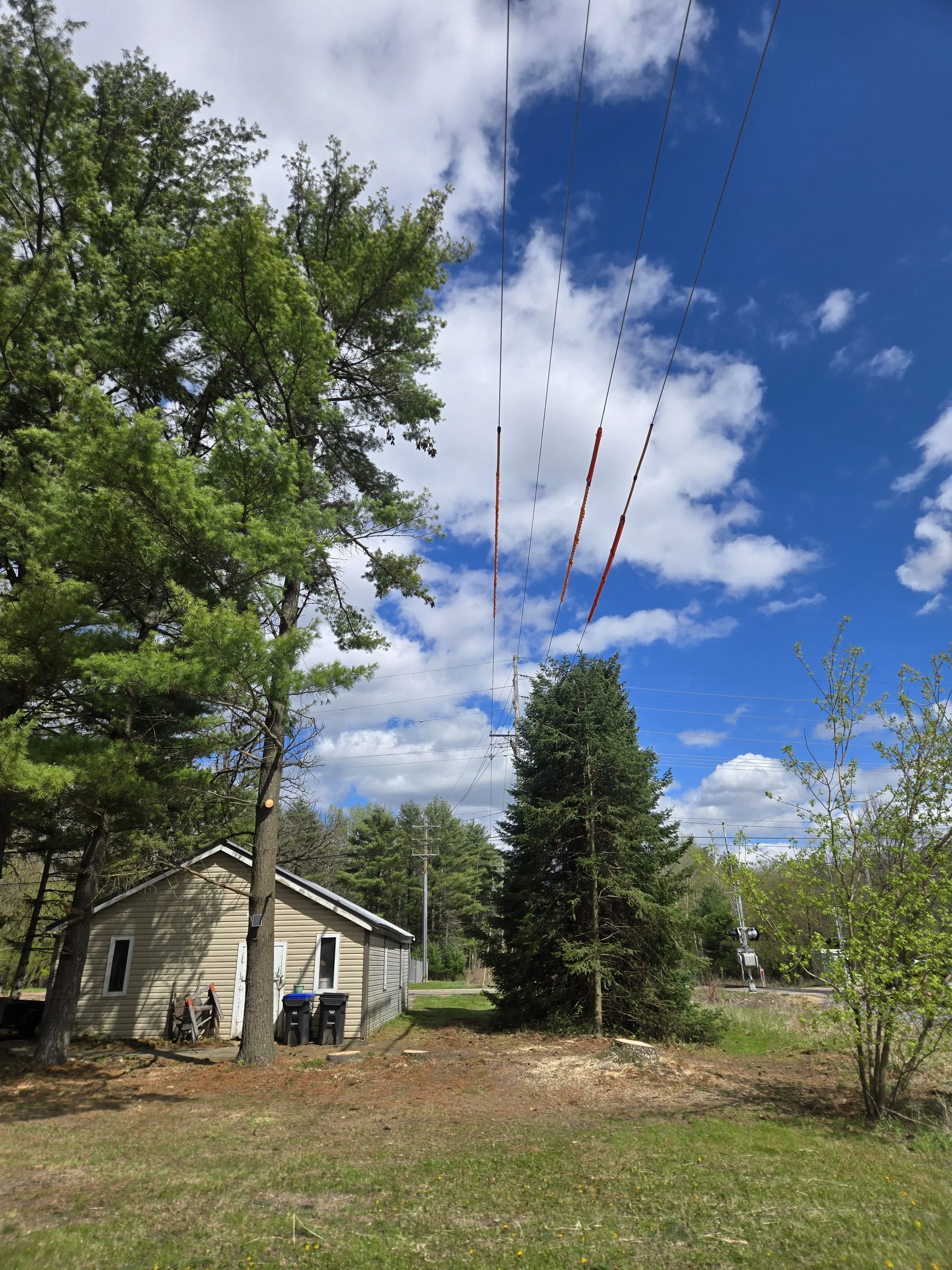 Tree removal around power lines in Shawano wisconsin
