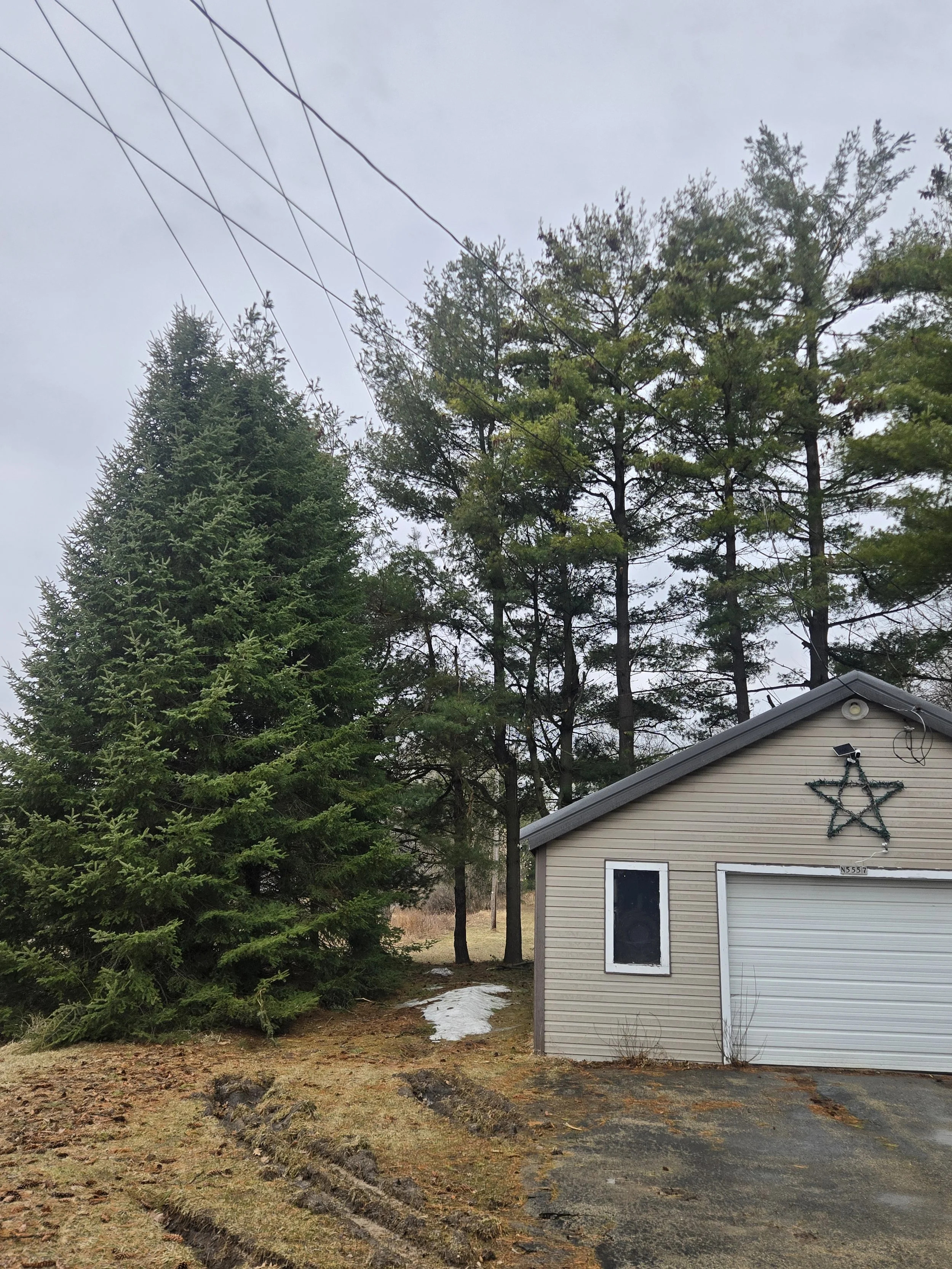 Tree removal around power lines in Shawano wisconsin
