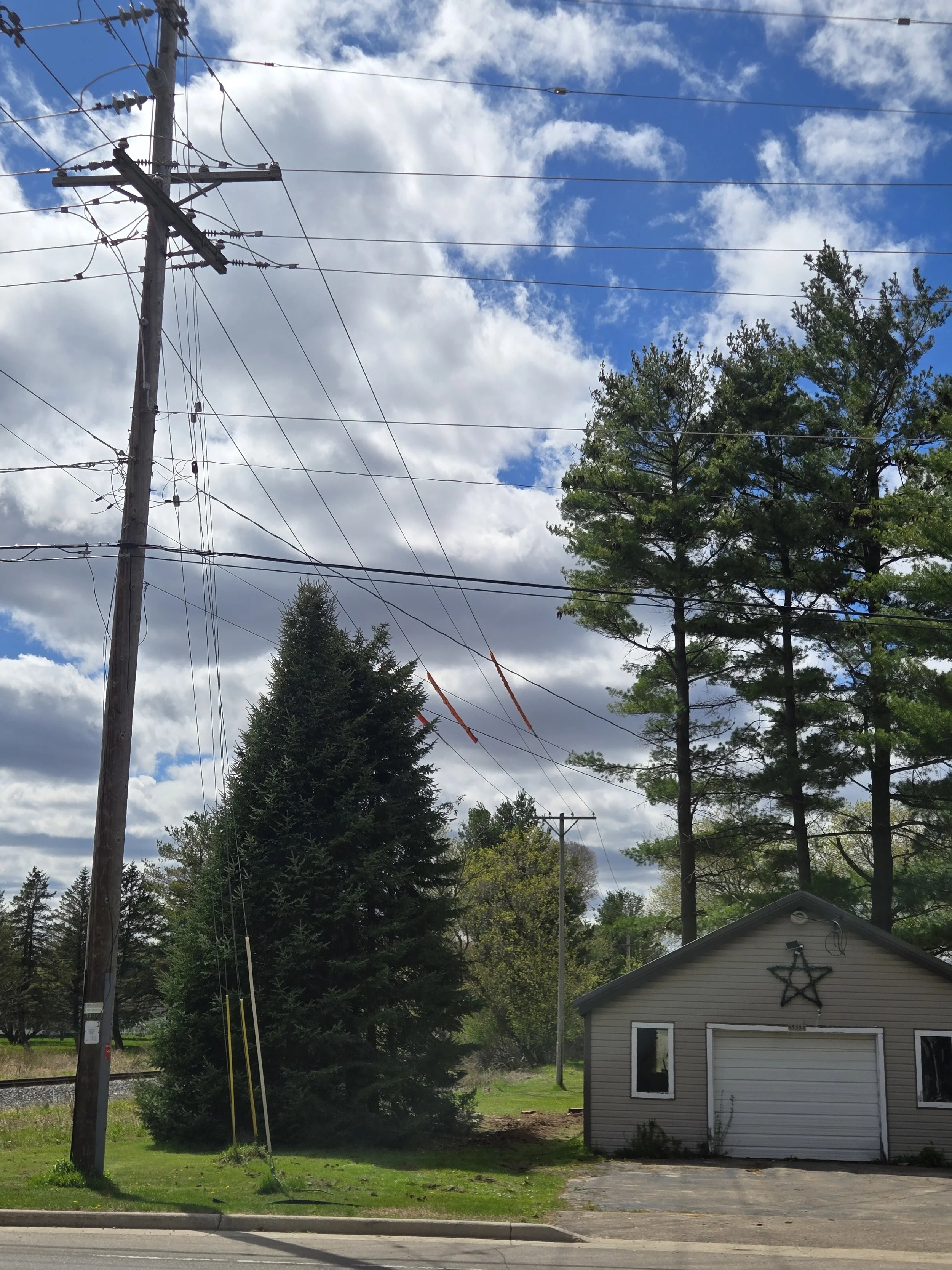 Tree removal around power lines in Shawano wisconsin