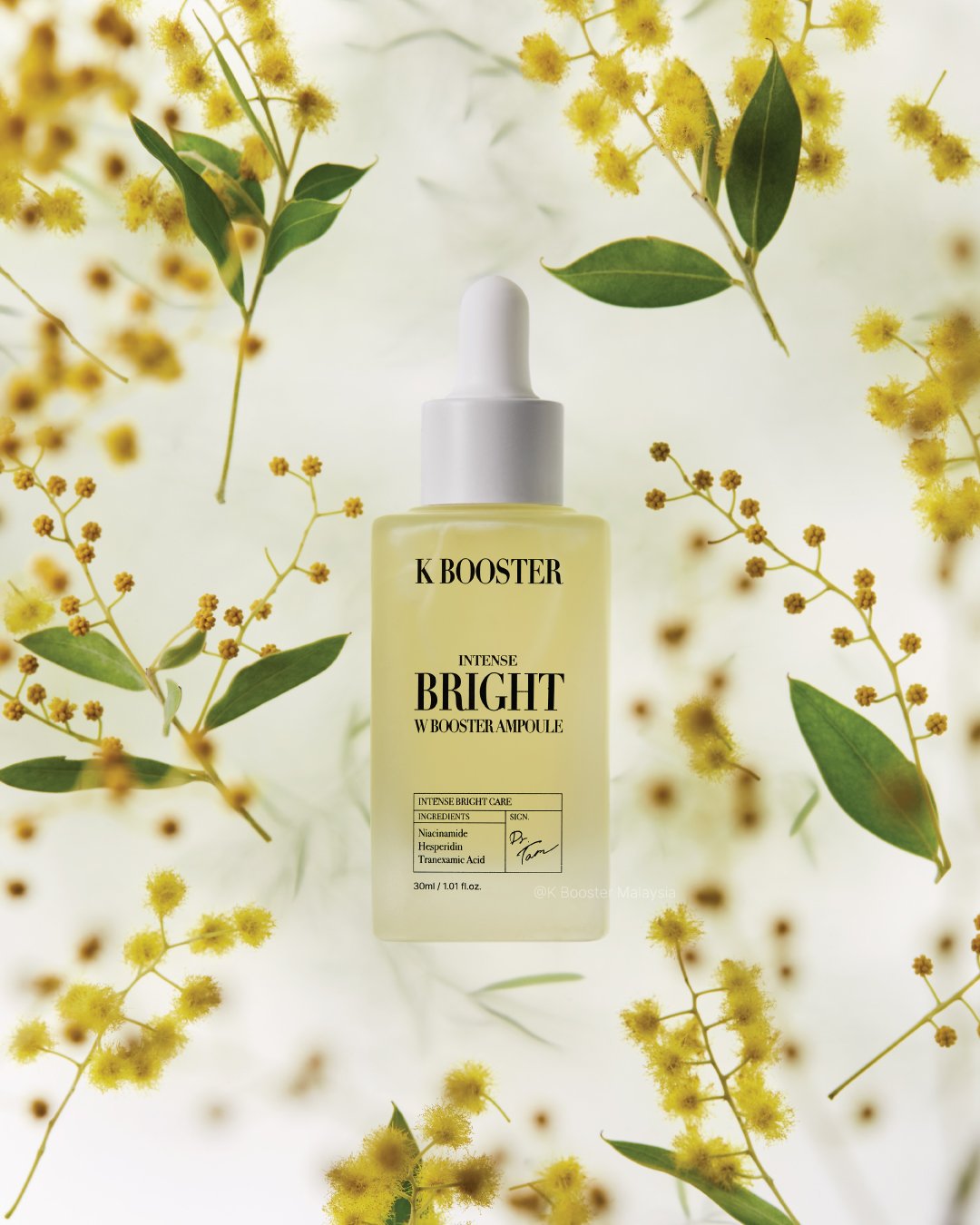 KB-BrightA-2.jpg