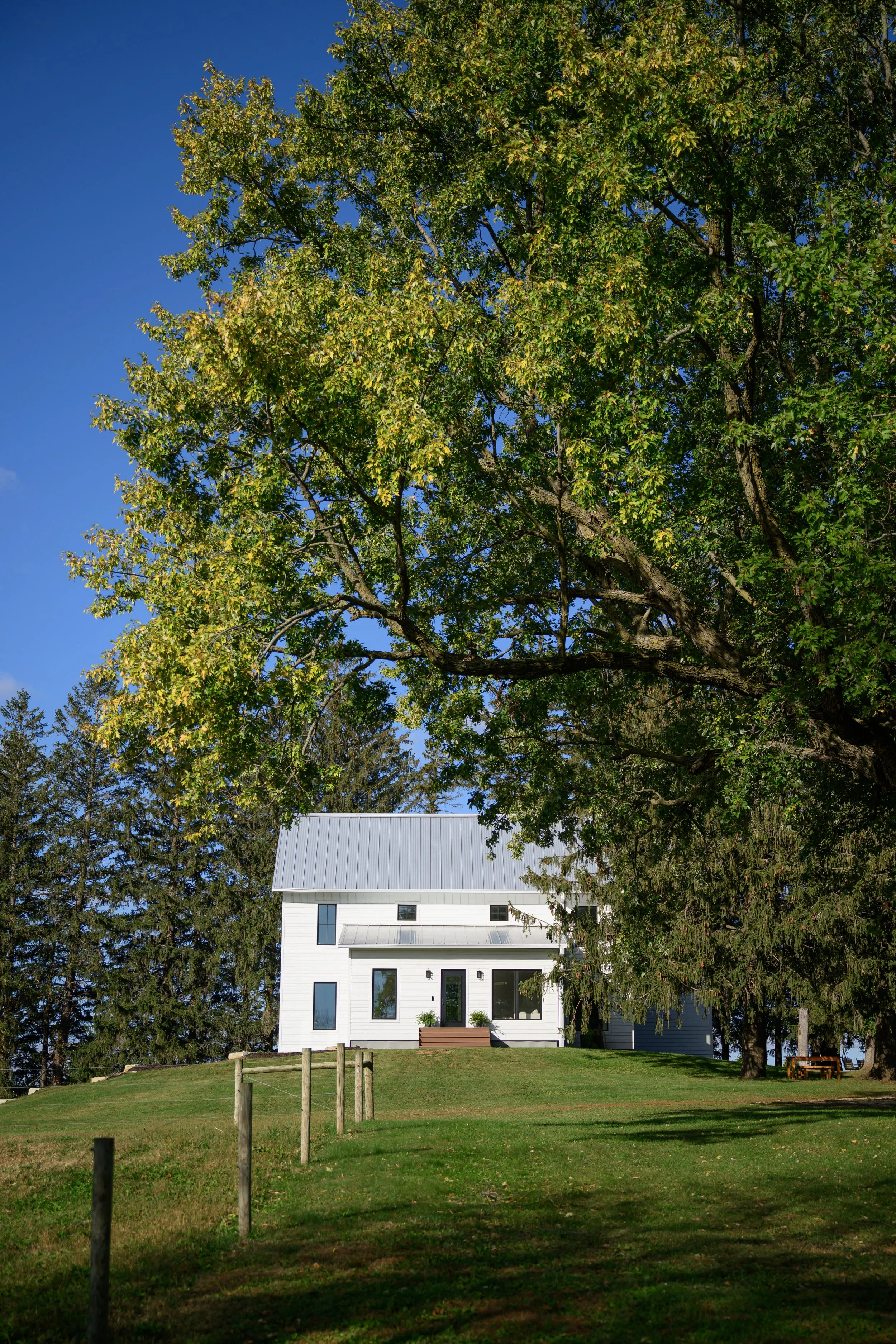 A white two-story house with black window frames and a metal roof, situated on a grassy lawn with a large leafy tree in the foreground and a blue sky.
