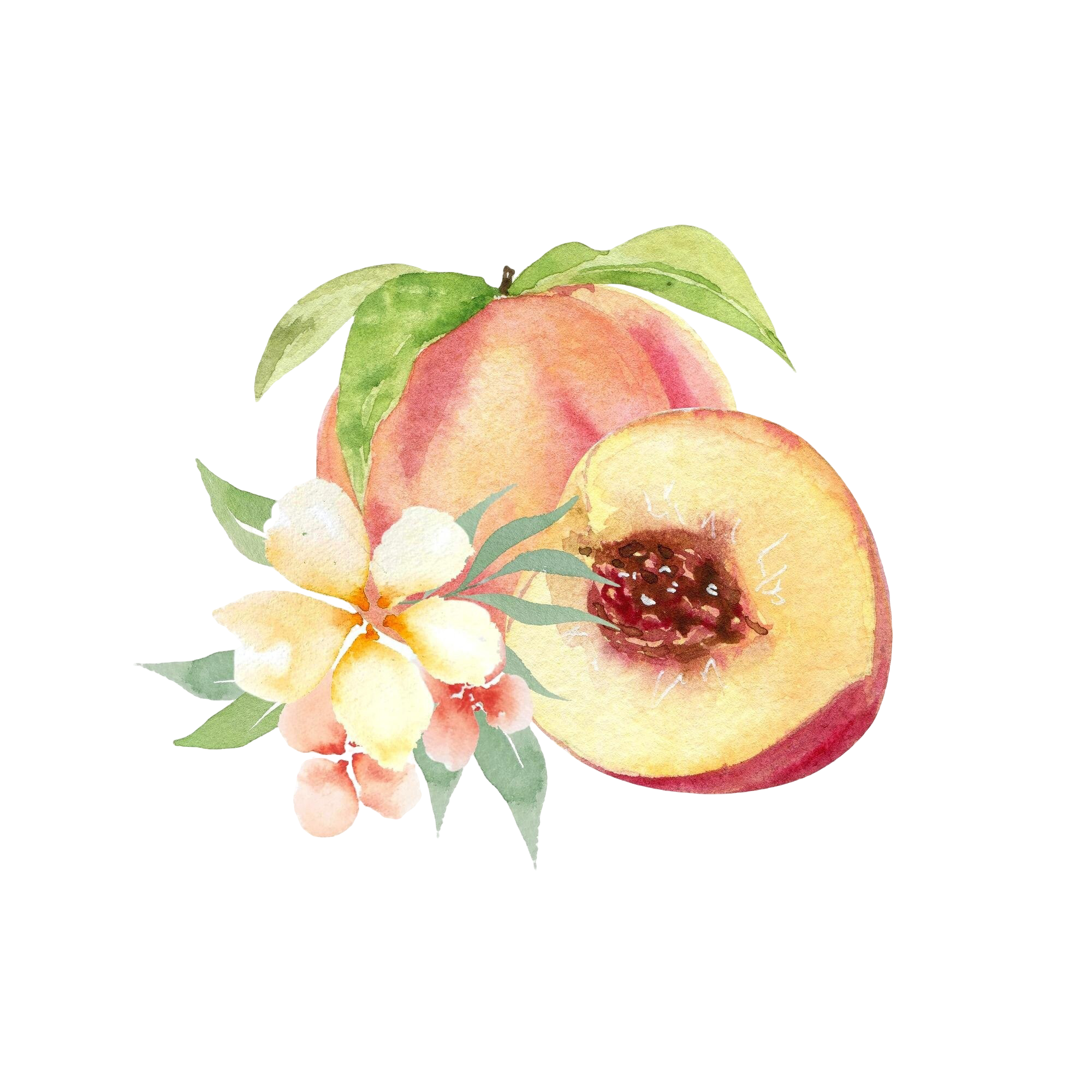 peach.png