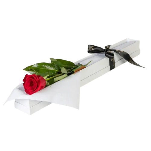 1 Columbian Single Rose (Long Box - Wet Pack)