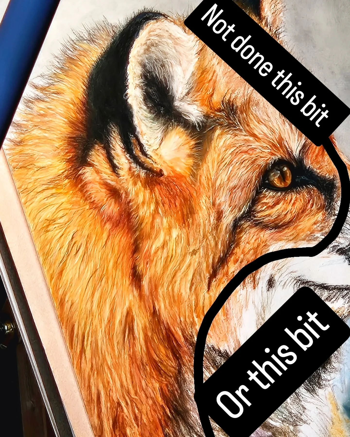 Sneak Peek: The First of My New Collection 🦊

I&rsquo;m so excited to share a glimpse of the first piece in my upcoming collection, which will feature a range of wild dogs! 🐾 

This fox has been a rewarding challenge so far, especially with the del