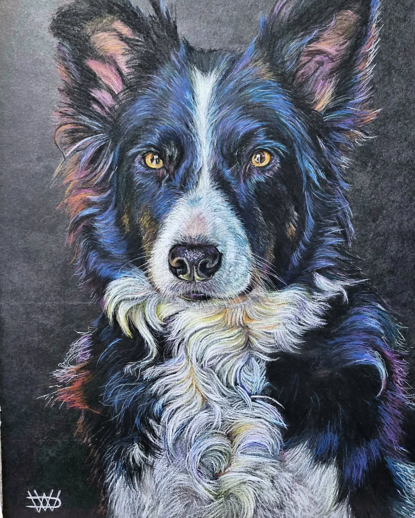 ✨ Meet Tess ✨

I was absolutely thrilled when I got a commission request for this beautiful Border Collie! Having grown up with collies myself, they hold a special place in my heart&mdash;so bringing Tess to life on paper was an absolute joy.

Even b