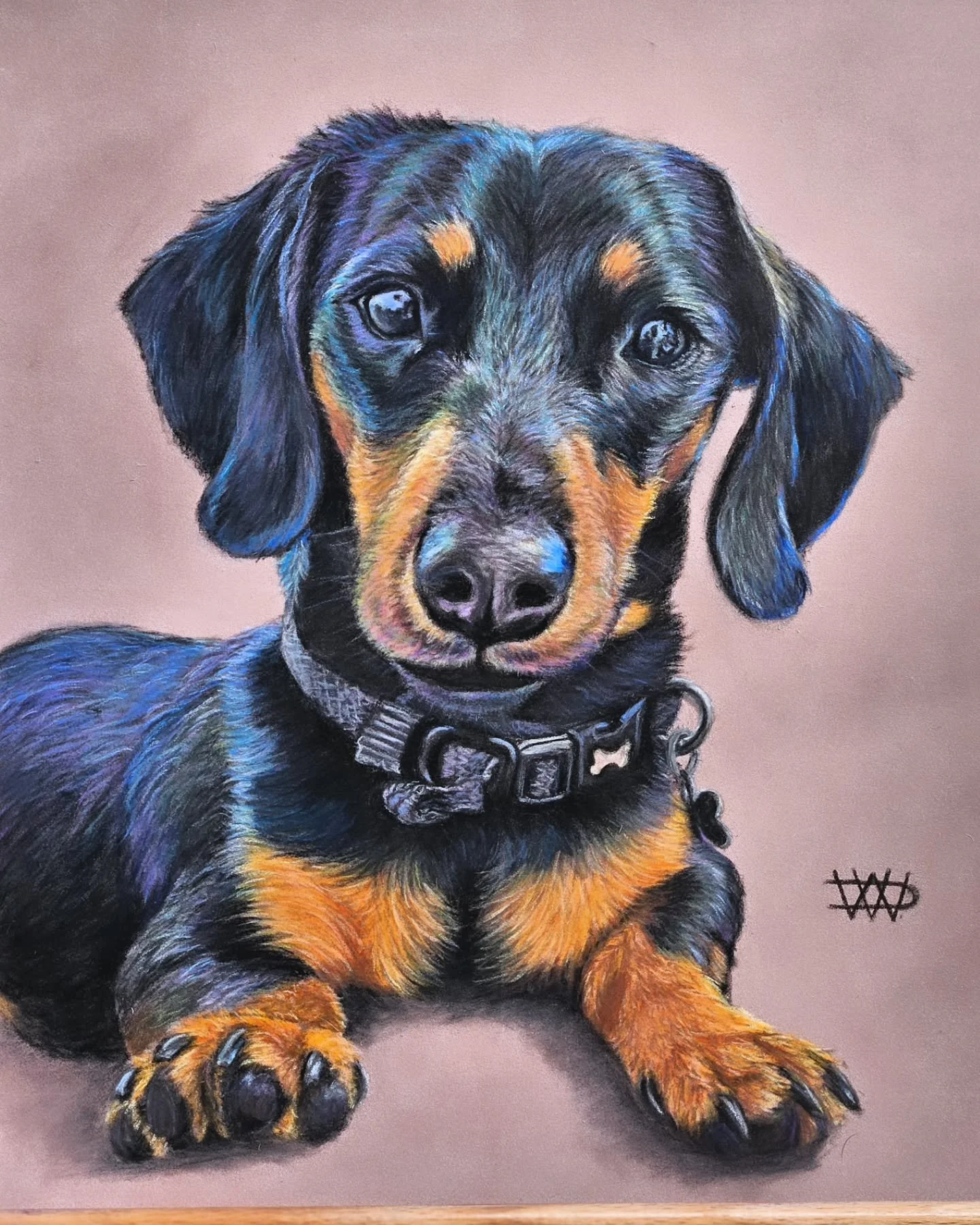 ✨ Meet Rambo! ✨

This little dachshund may be small, but he&rsquo;s bursting with confidence, charisma, and a comical energy that&rsquo;s impossible not to love! Watching him play is pure joy&mdash;bounding across the grass like he&rsquo;s the fastes