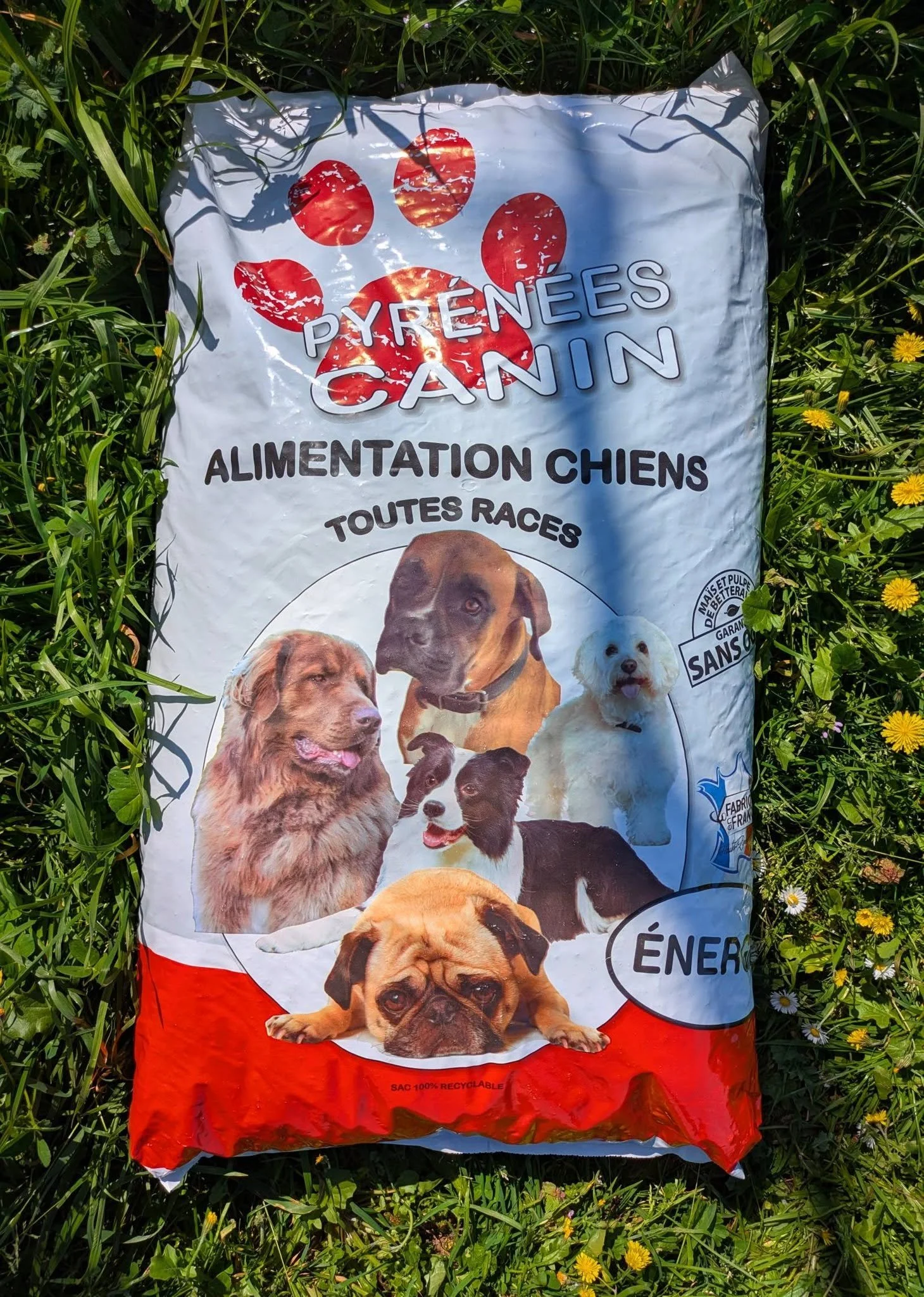 Croquettes premium énergie.jpg