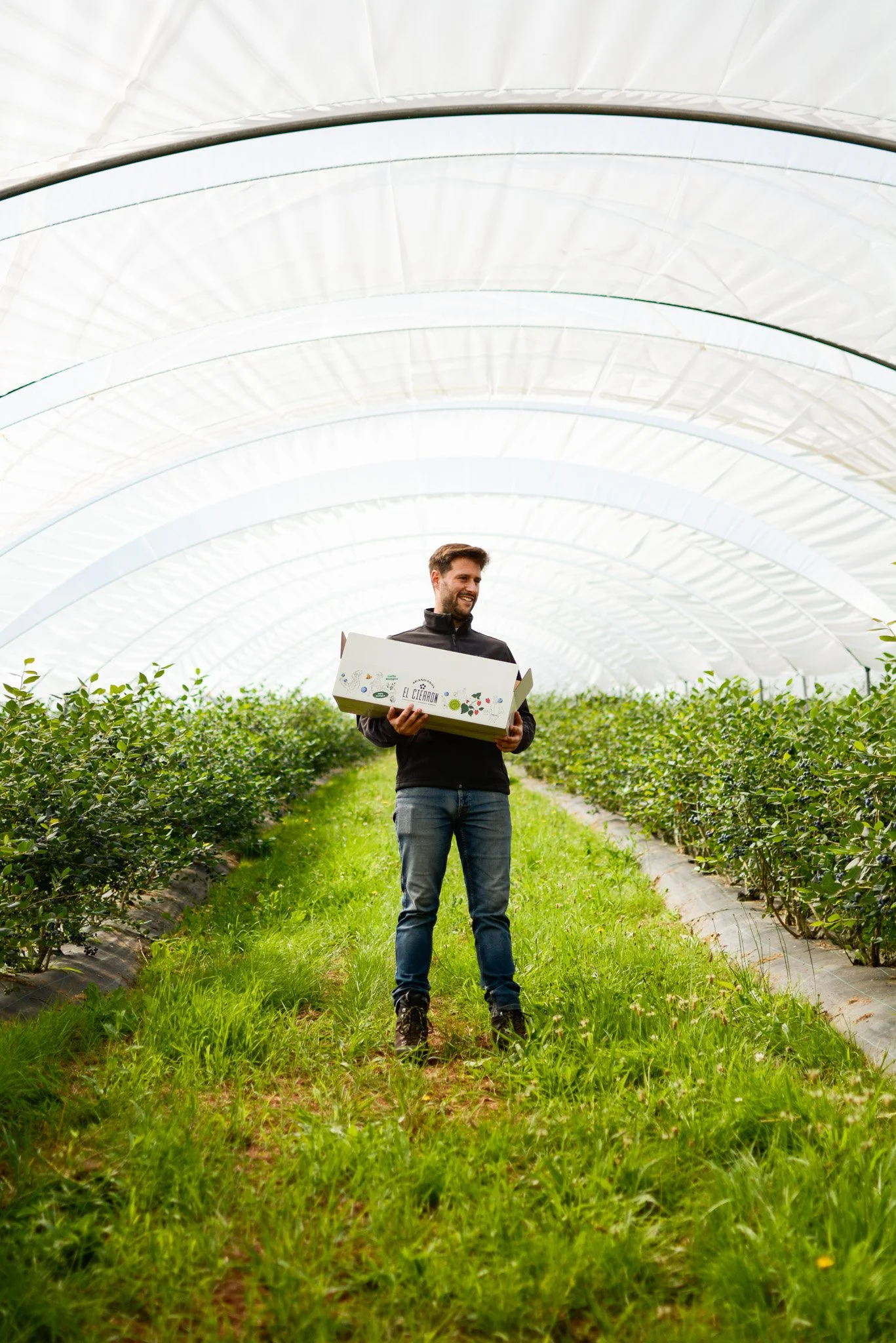 Hombre sosteniendo una caja en un invernadero con plantas verdes. Diseño de Packaging para El Cierrón por GustoStudio en Asturias