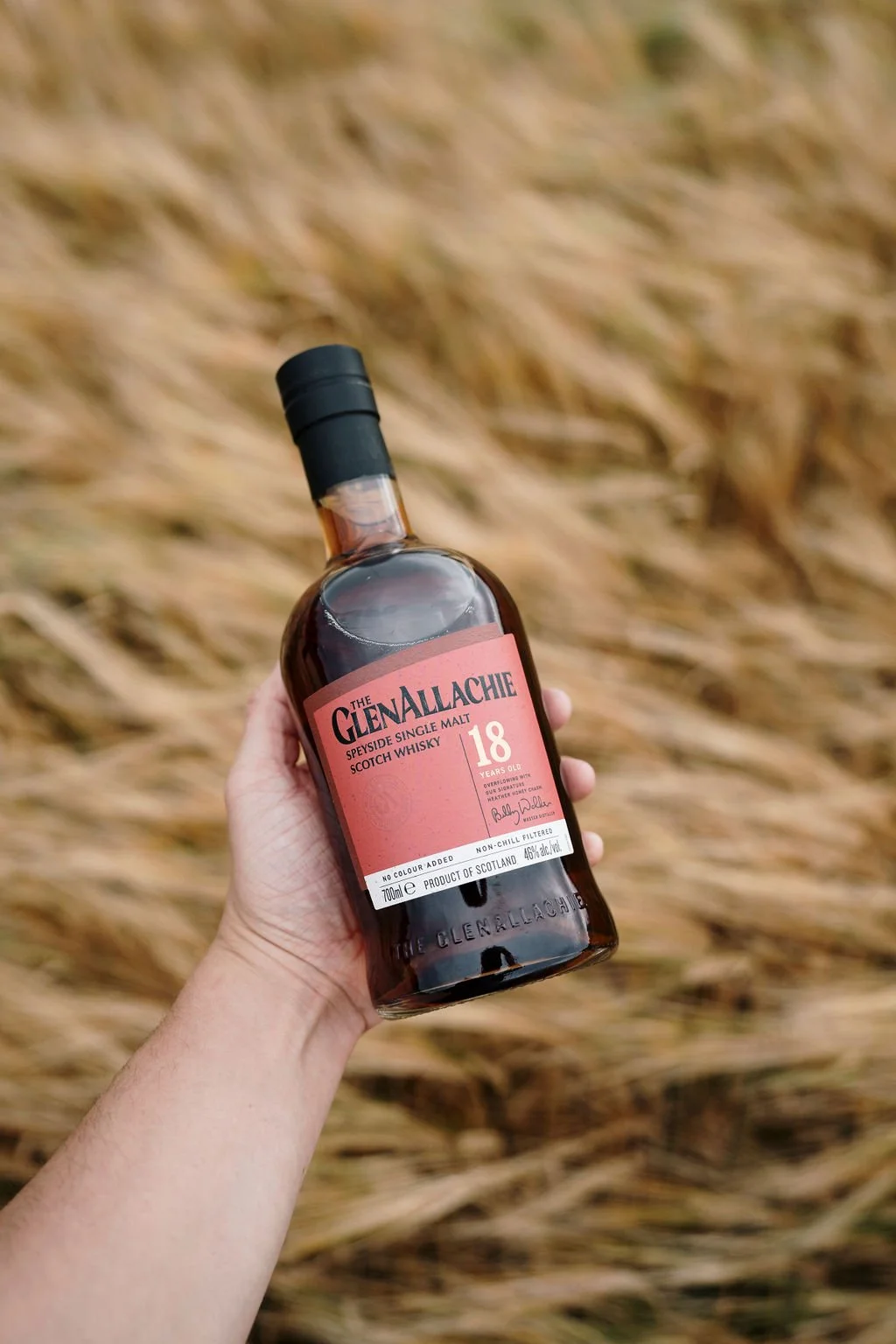 GlenallachieAug-98.jpg
