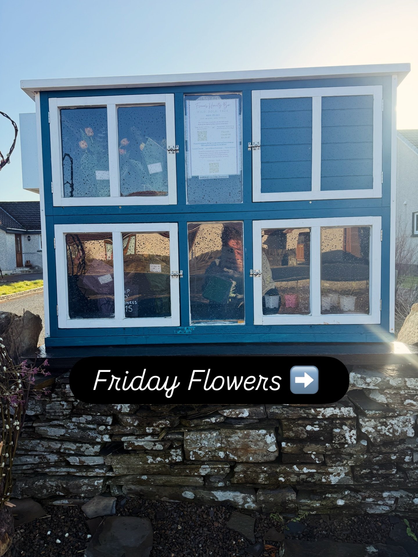 Hey 🤍

Friday&rsquo;s honesty box top up is looking very cute.

I&rsquo;ve filled it with Cup O&rsquo; Kindness bouquets made with double orange tulips &lsquo;Valdivia&rsquo; and eucalyptus. 

There are also sunflower seedlings up for grabs, on me, 