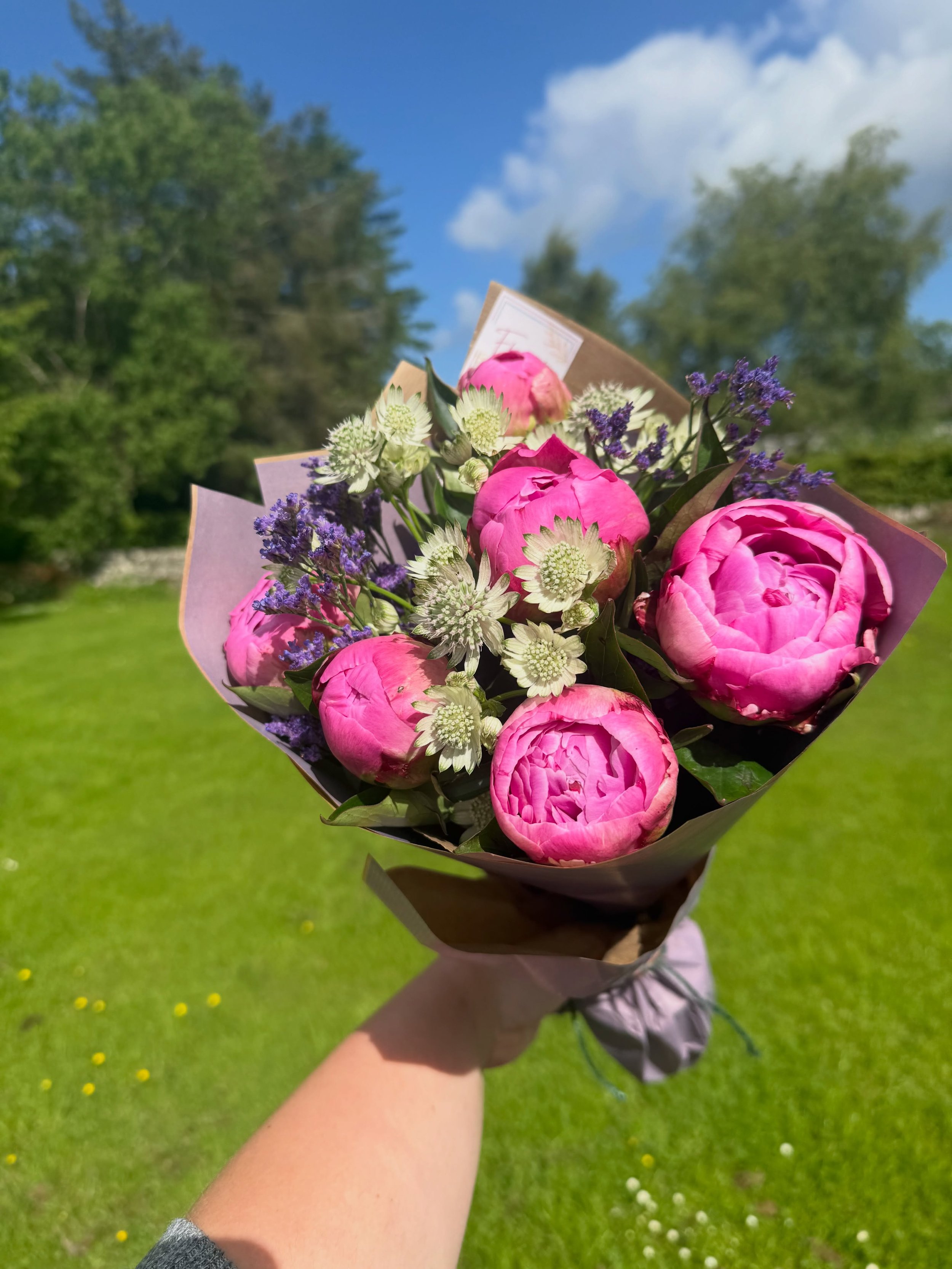 Last week was Coral Sunset. This week is Dr A. Fleming. Peony season has RANGE.

This week&rsquo;s peonies are Dr A. Fleming, which feels very appropriate because honestly, they are just what the doctor ordered.

One of my favourite things about peon