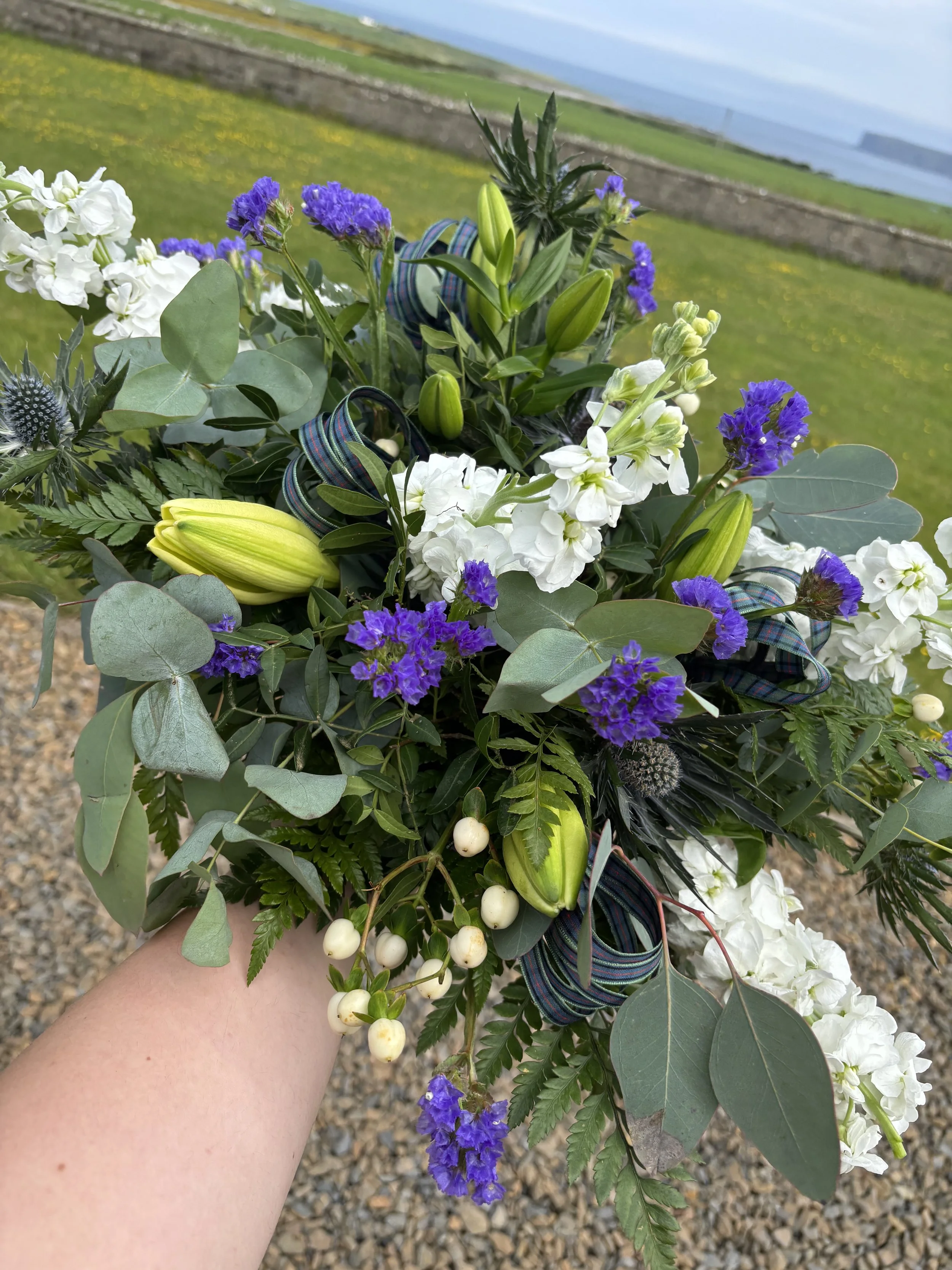 IMG_4355(1).jpeg