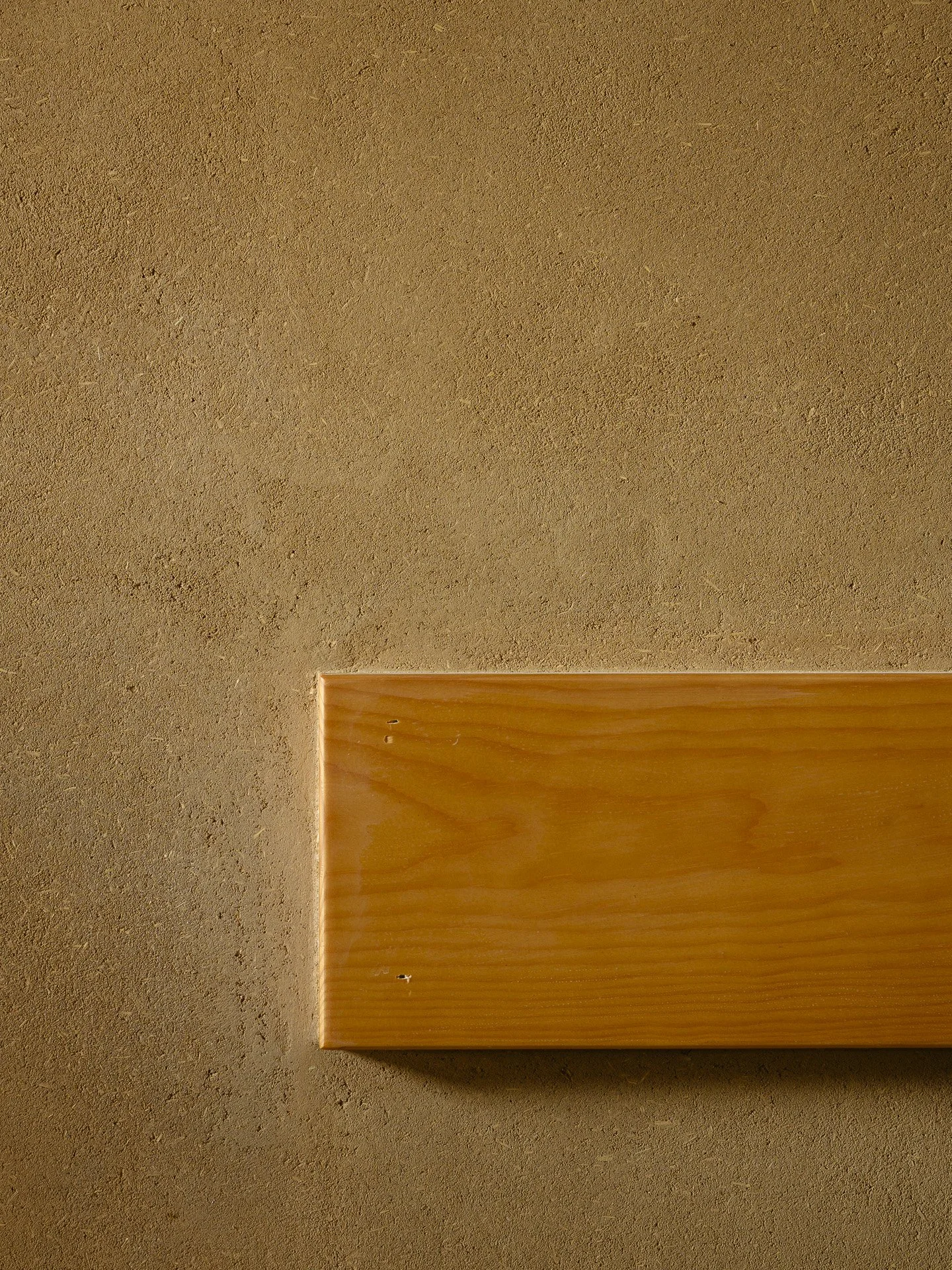 Lam Terre_Bois de Chênes_Web_2.jpg