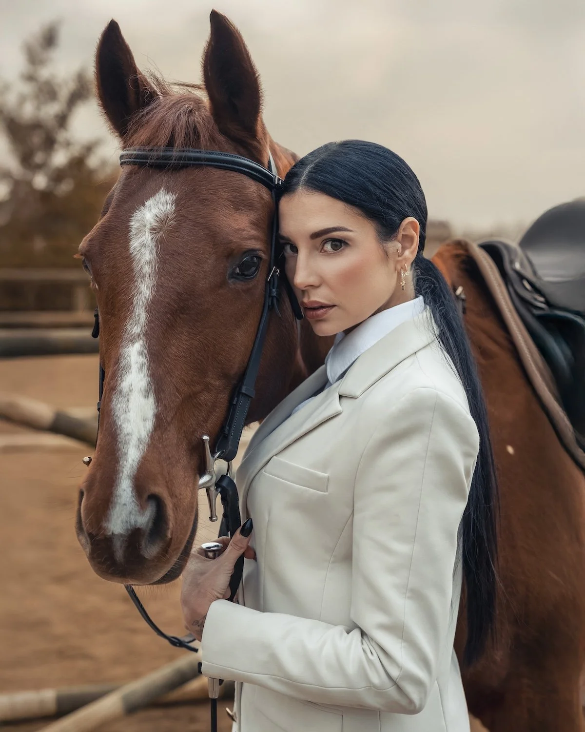Mirko Zuccarello: The Equestrian Code