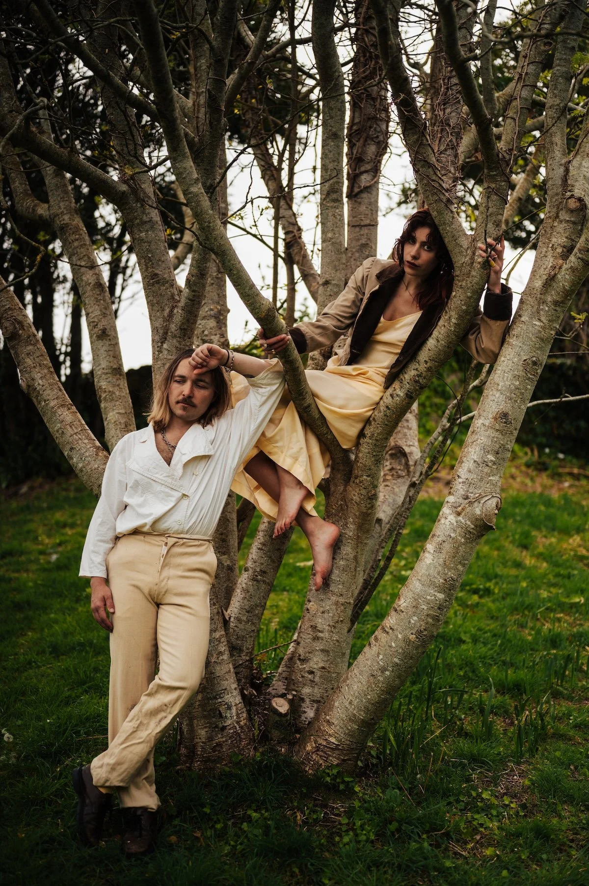 Forest Lewis: Botanical Silence