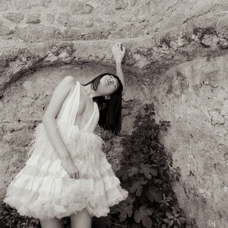 paloma-07.jpg