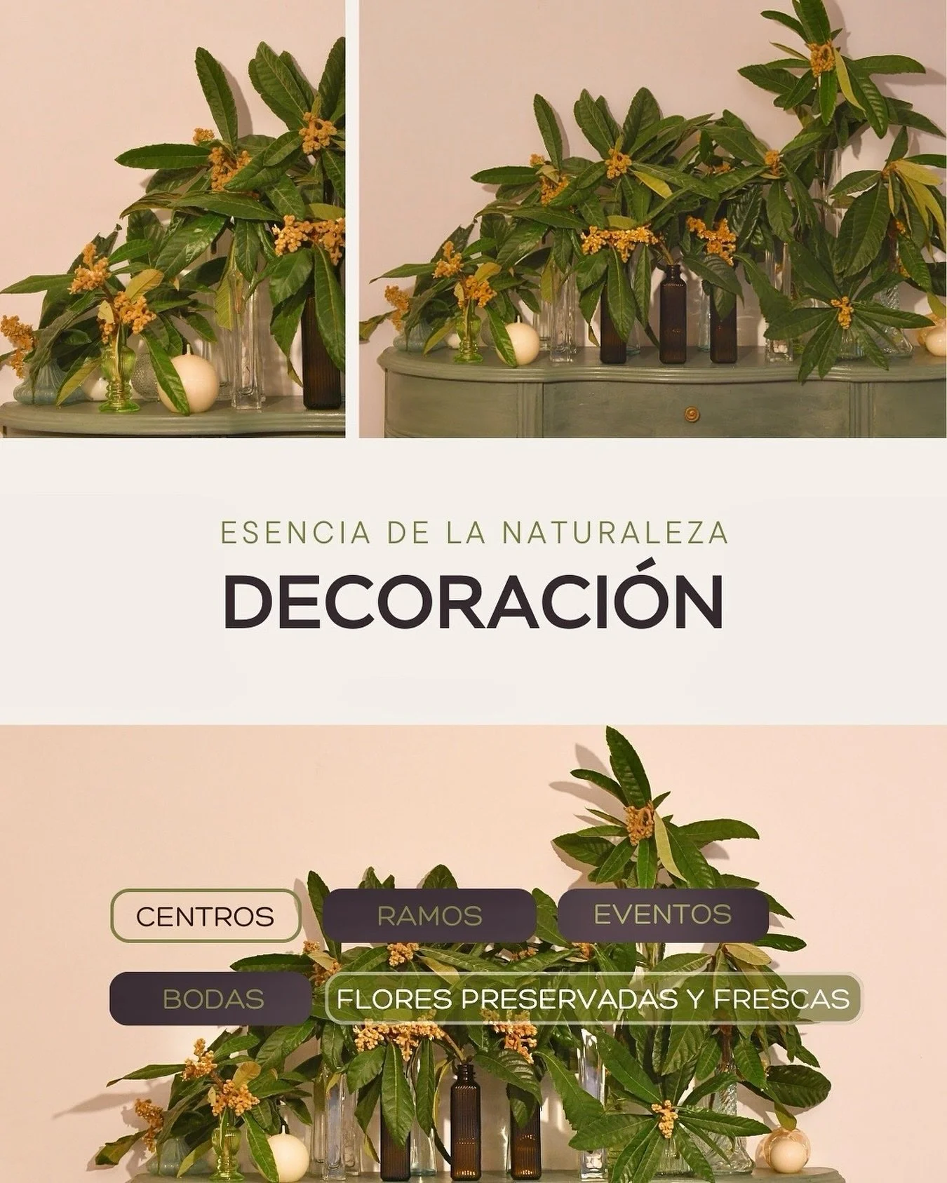 Llevamos la naturaleza a tu hogar o evento 🌿

#FloresADomicilio #ByMagaliDePedraza #DecoracionConAlma #TreeArt #FlowerDesign #FloresPreservadas #EventosMadrid #DecoracionEventos #InspiracionBodas #InspiracionEventos #FloresMadrid