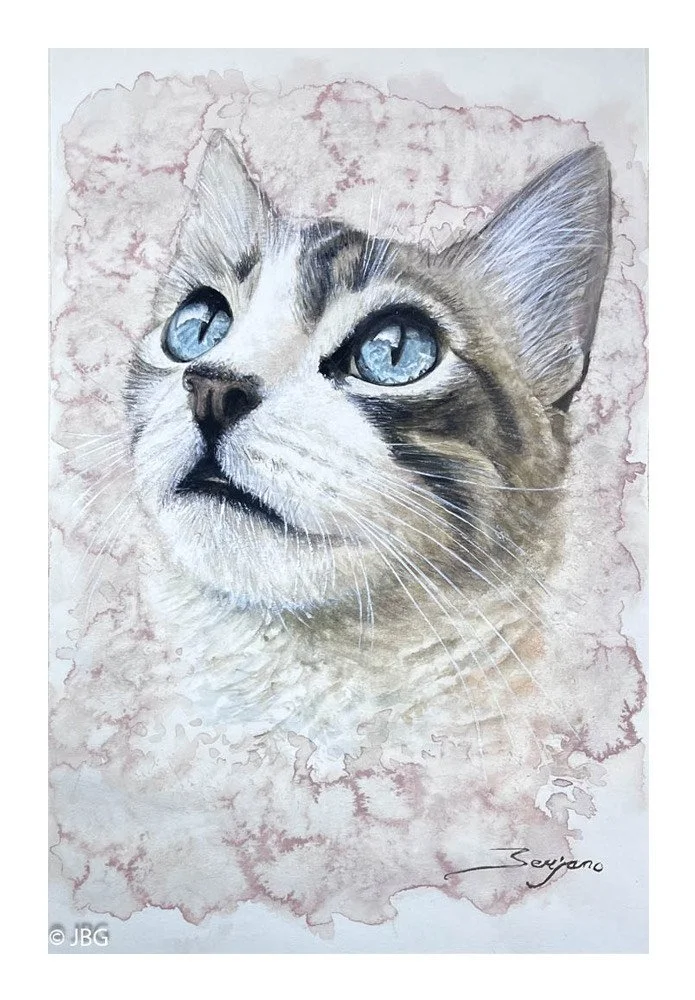 Señorita  21x29 - 2025 *