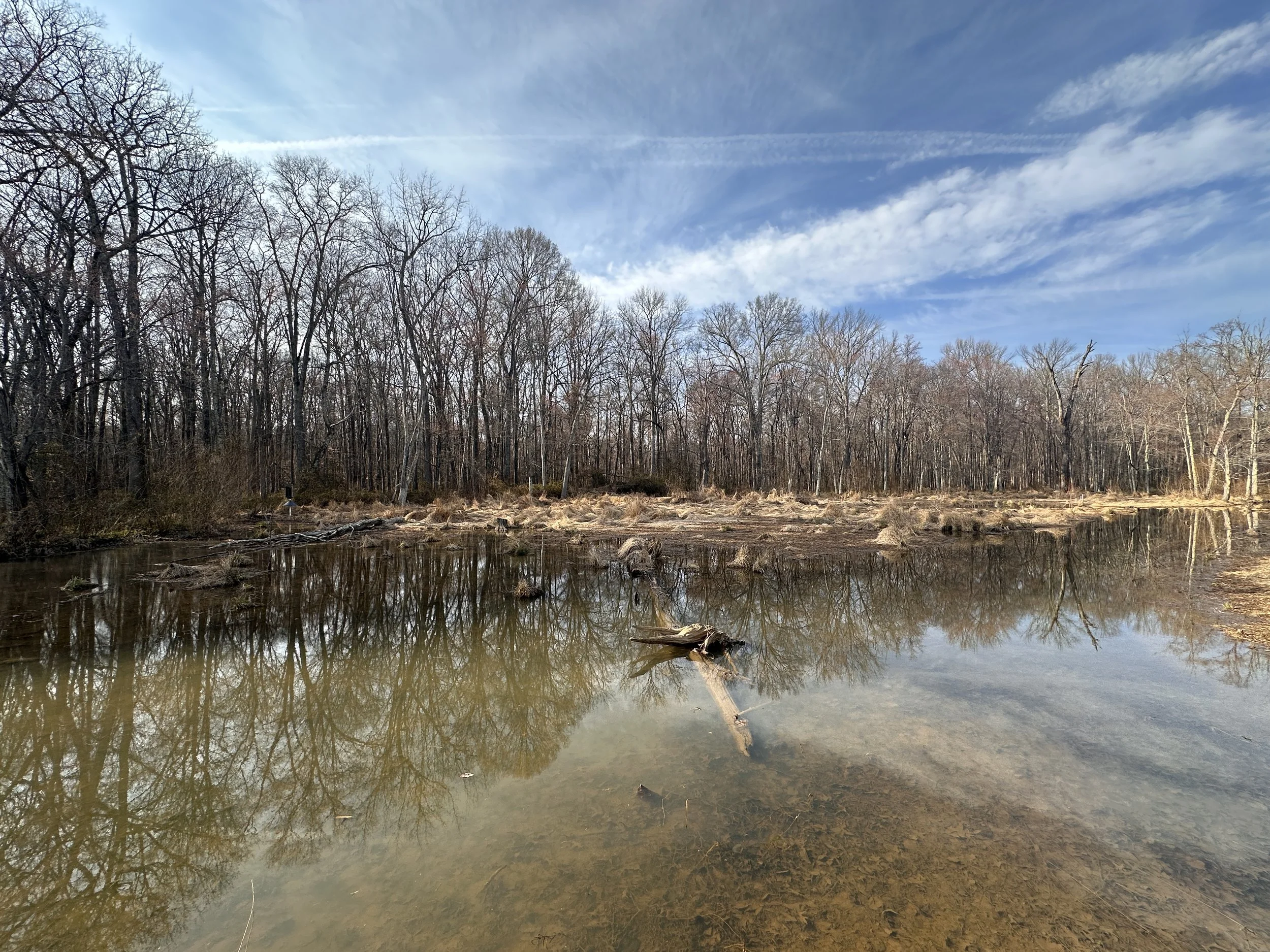 Spring Refresher - Meadow Trek &amp; Flow - CANCELED