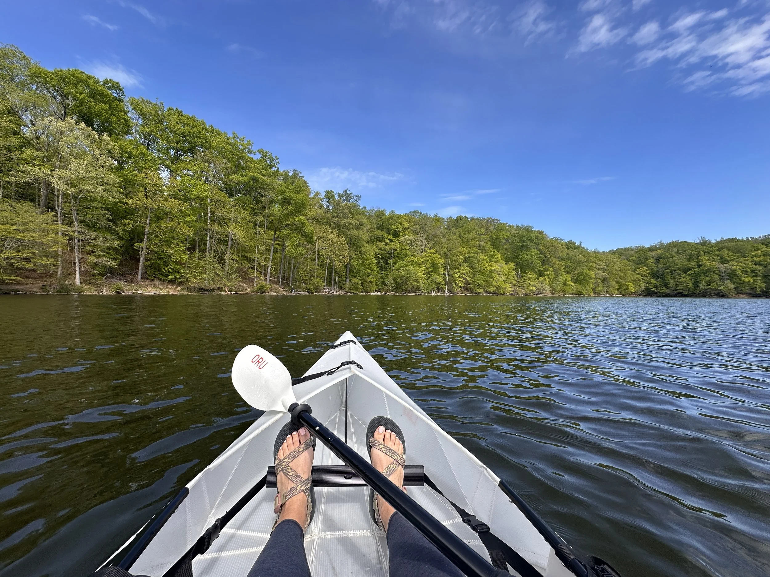Kayaking the Occoquan Reservoir