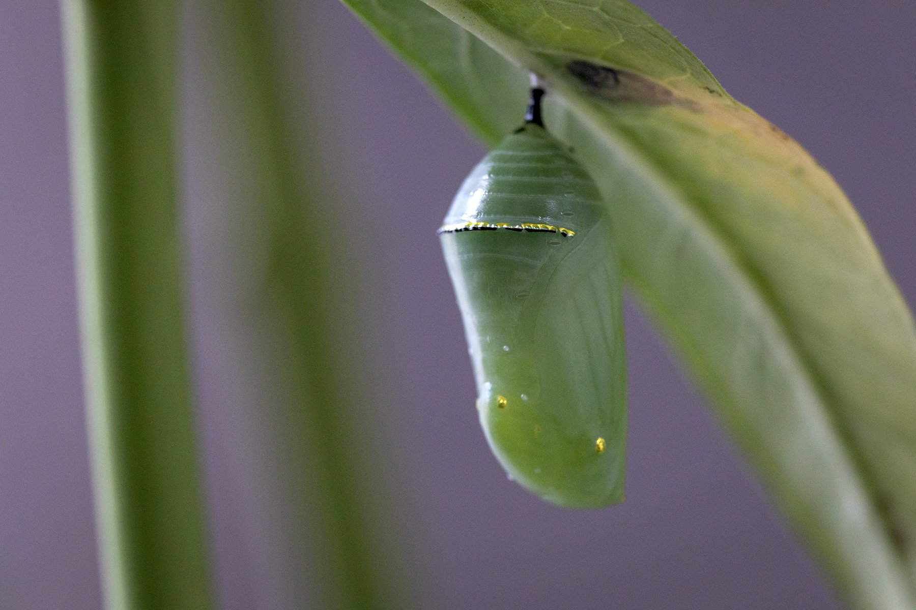 The Healing Work of Writing