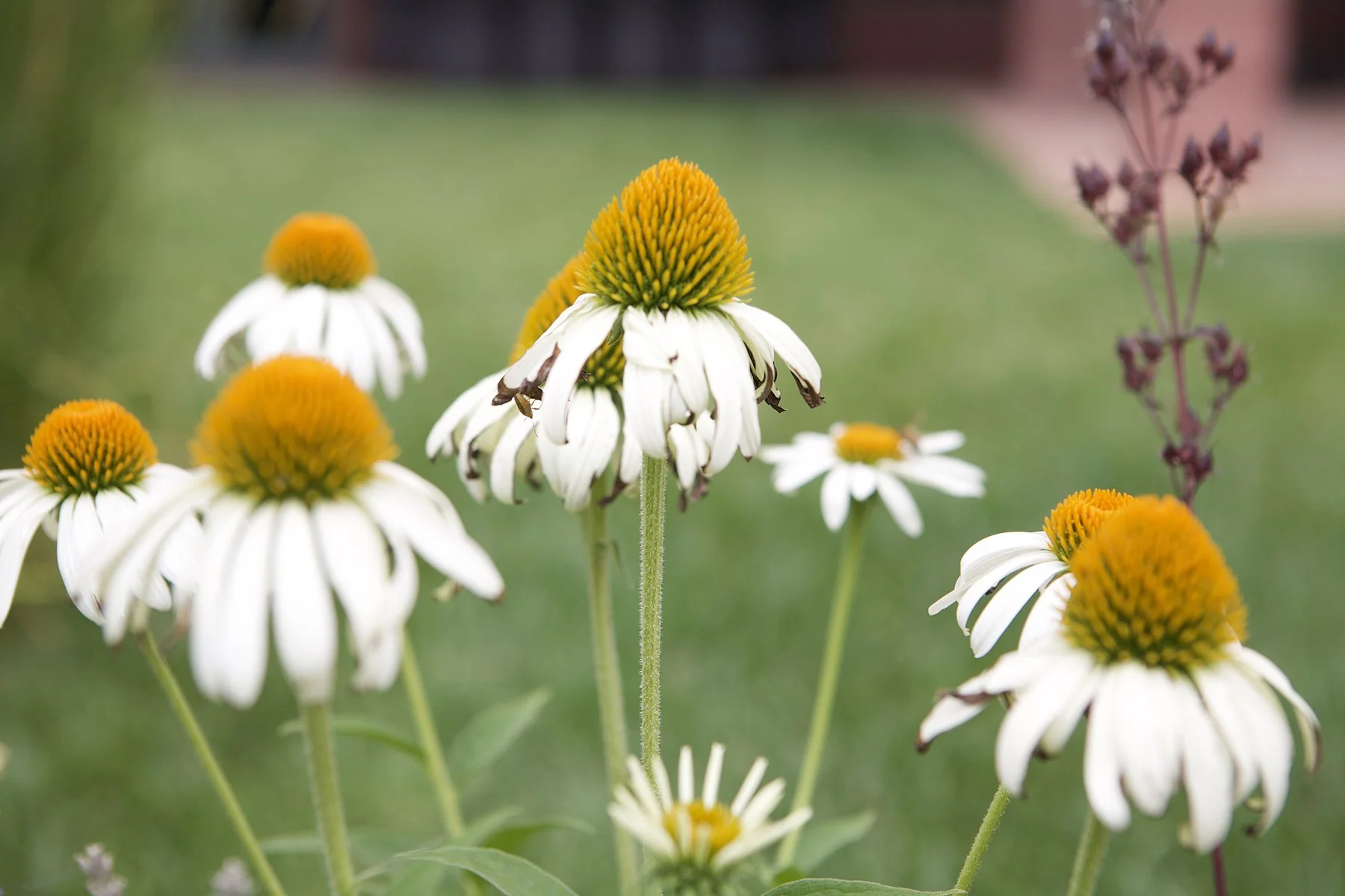 You Have Choice In Therapy